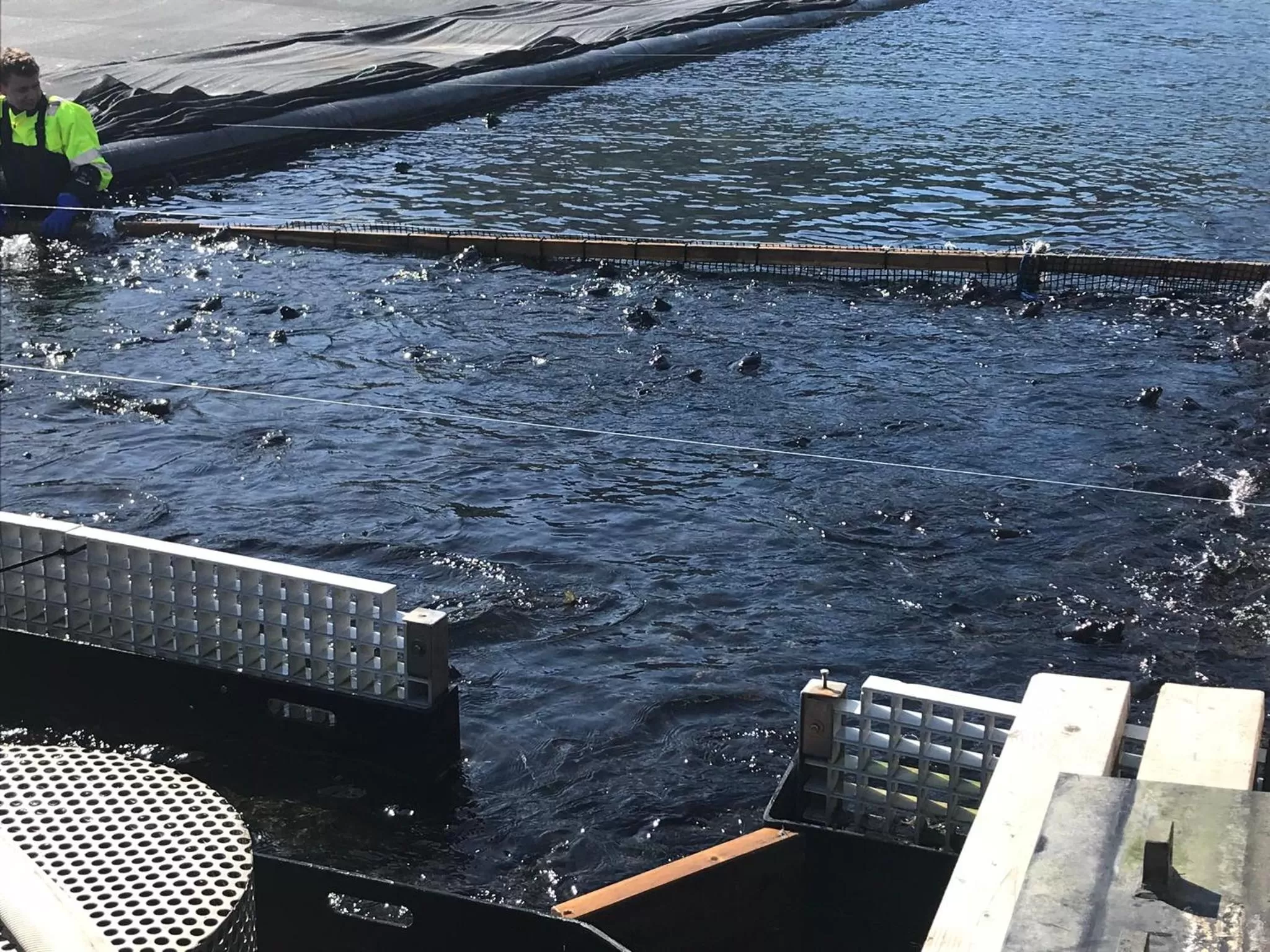 Nearby landmark in Øren Hotel