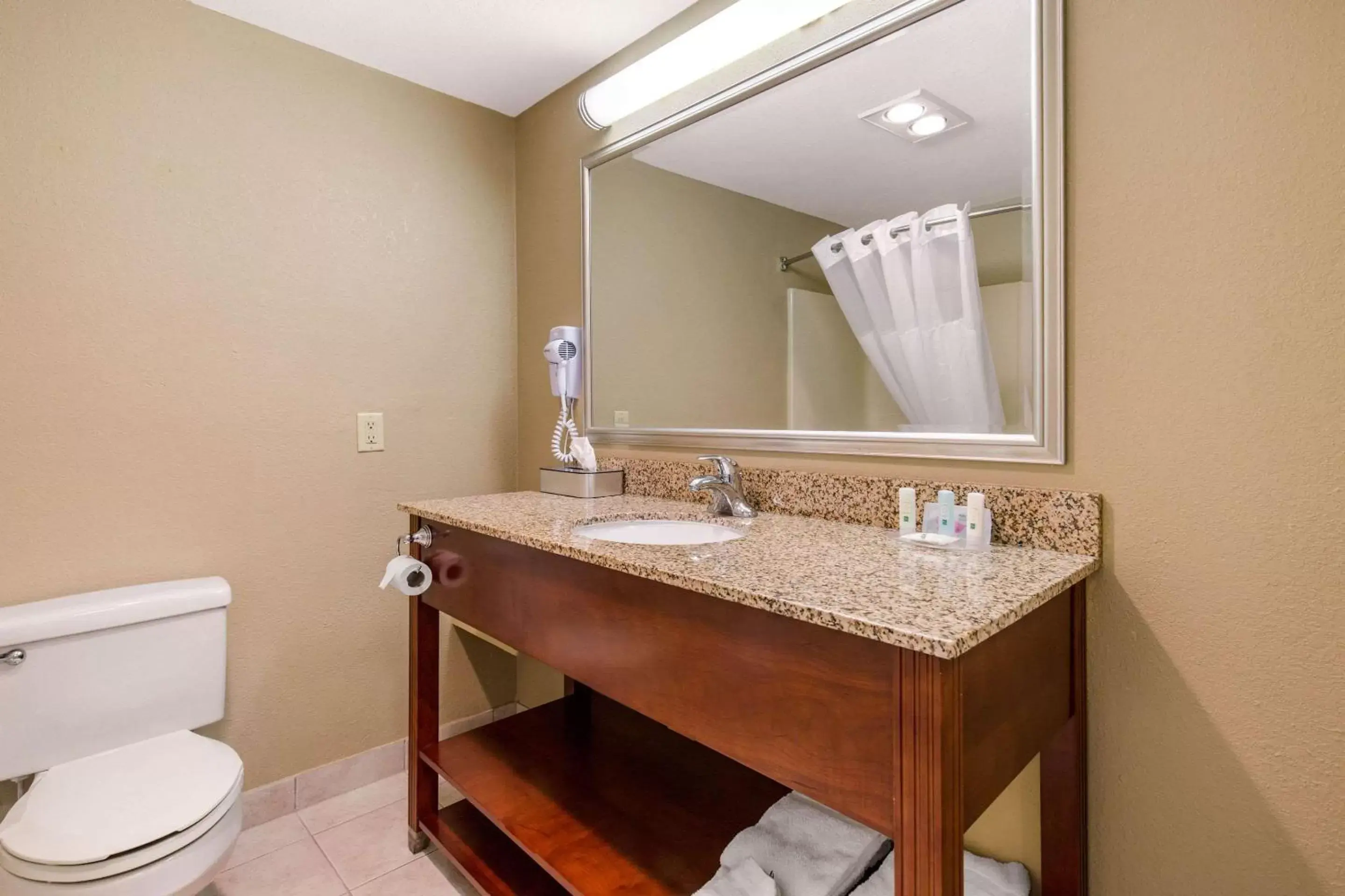 Bedroom, Bathroom in Quality Inn & Suites Georgetown - Seaford