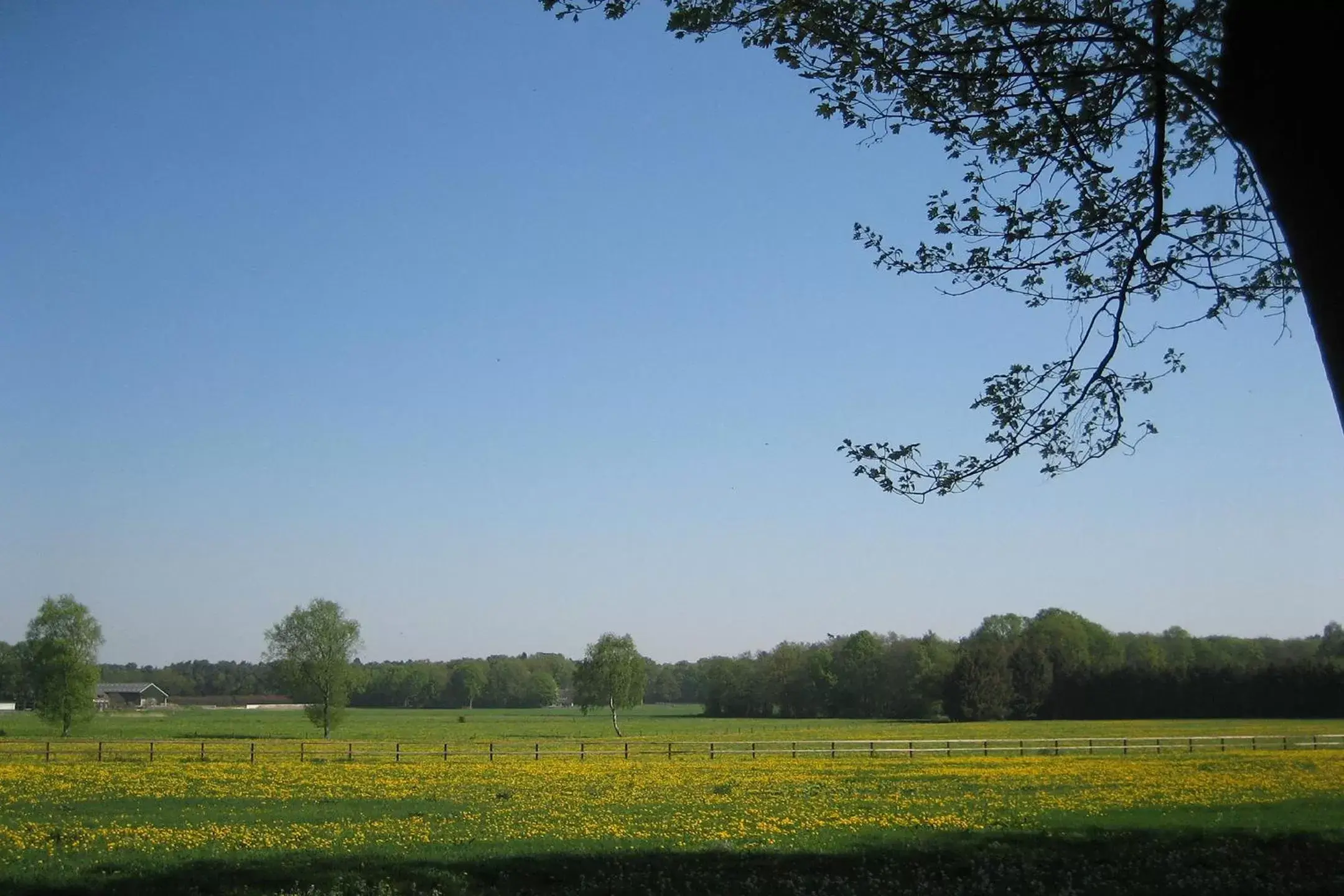 Natural Landscape in Landgoedhotel Woodbrooke Barchem