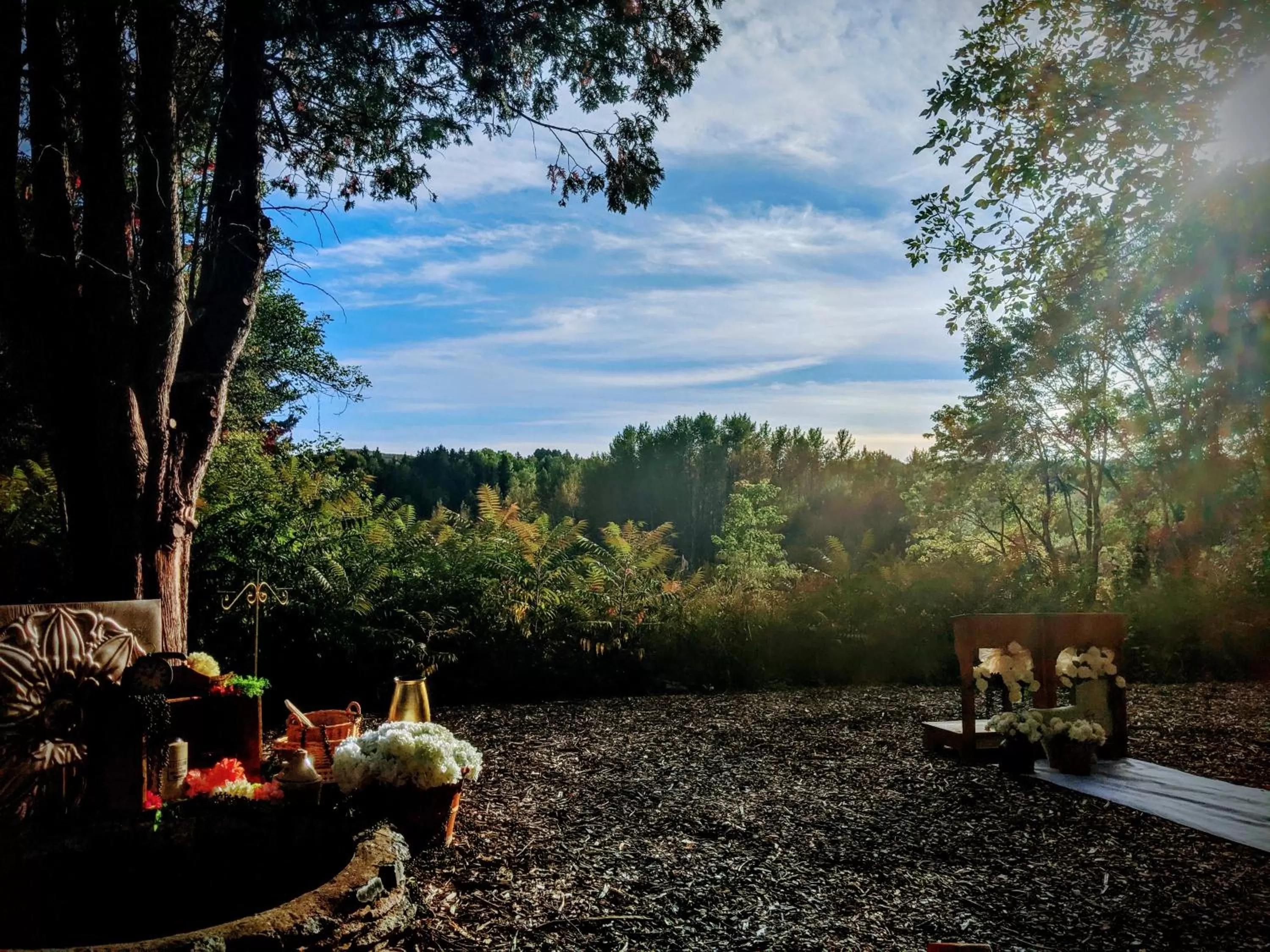 Garden view in Maison Zacharie