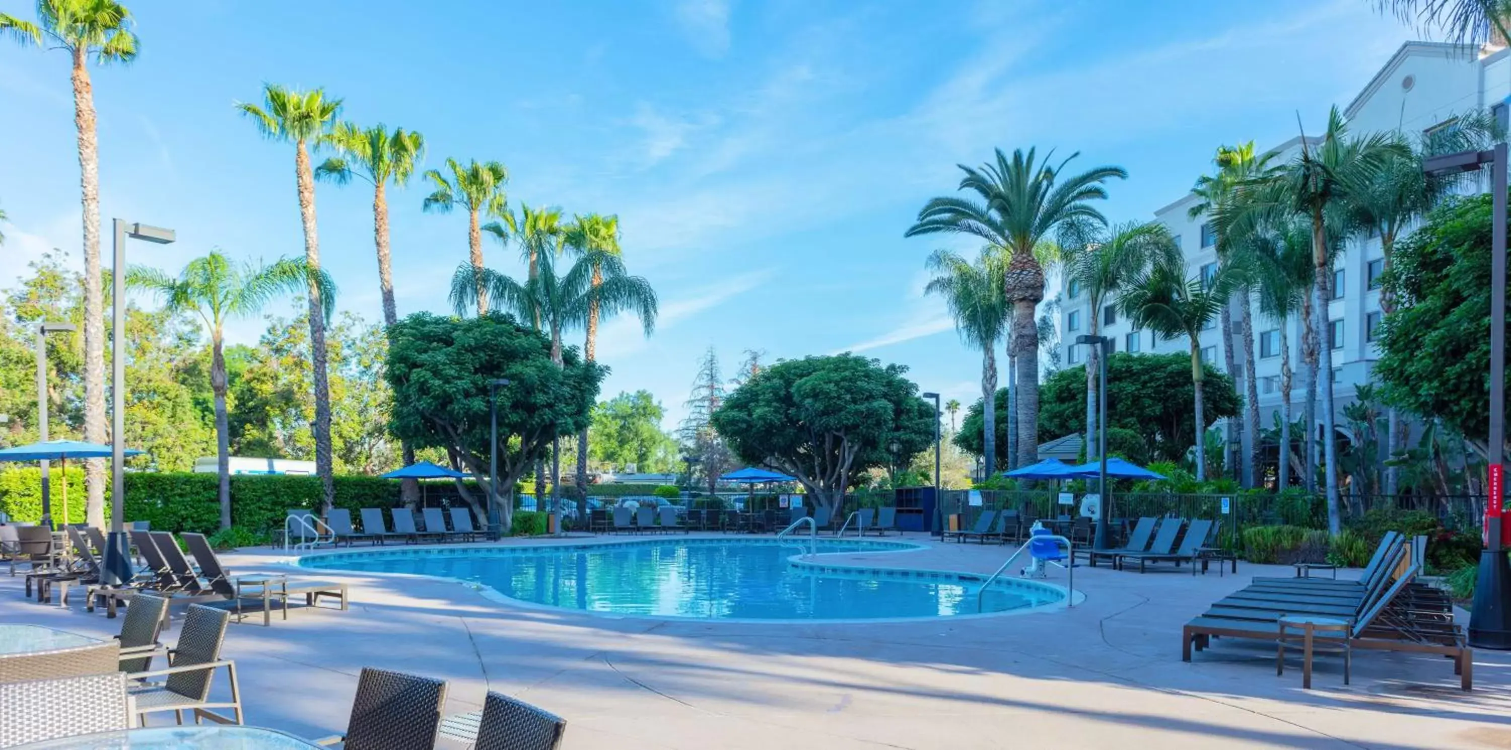 Activities, Swimming Pool in Sonesta ES Suites Anaheim Resort Area