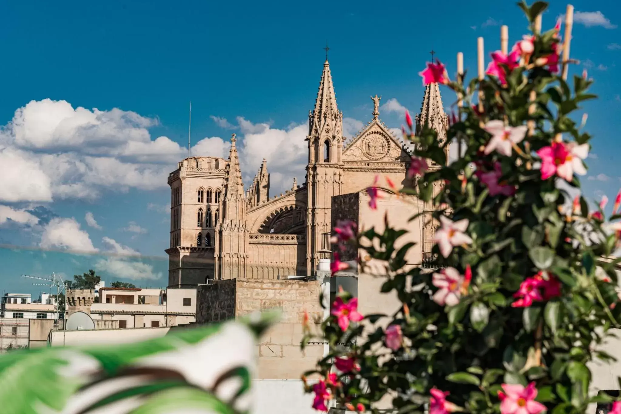 Landmark view, Property Building in Purohotel Palma