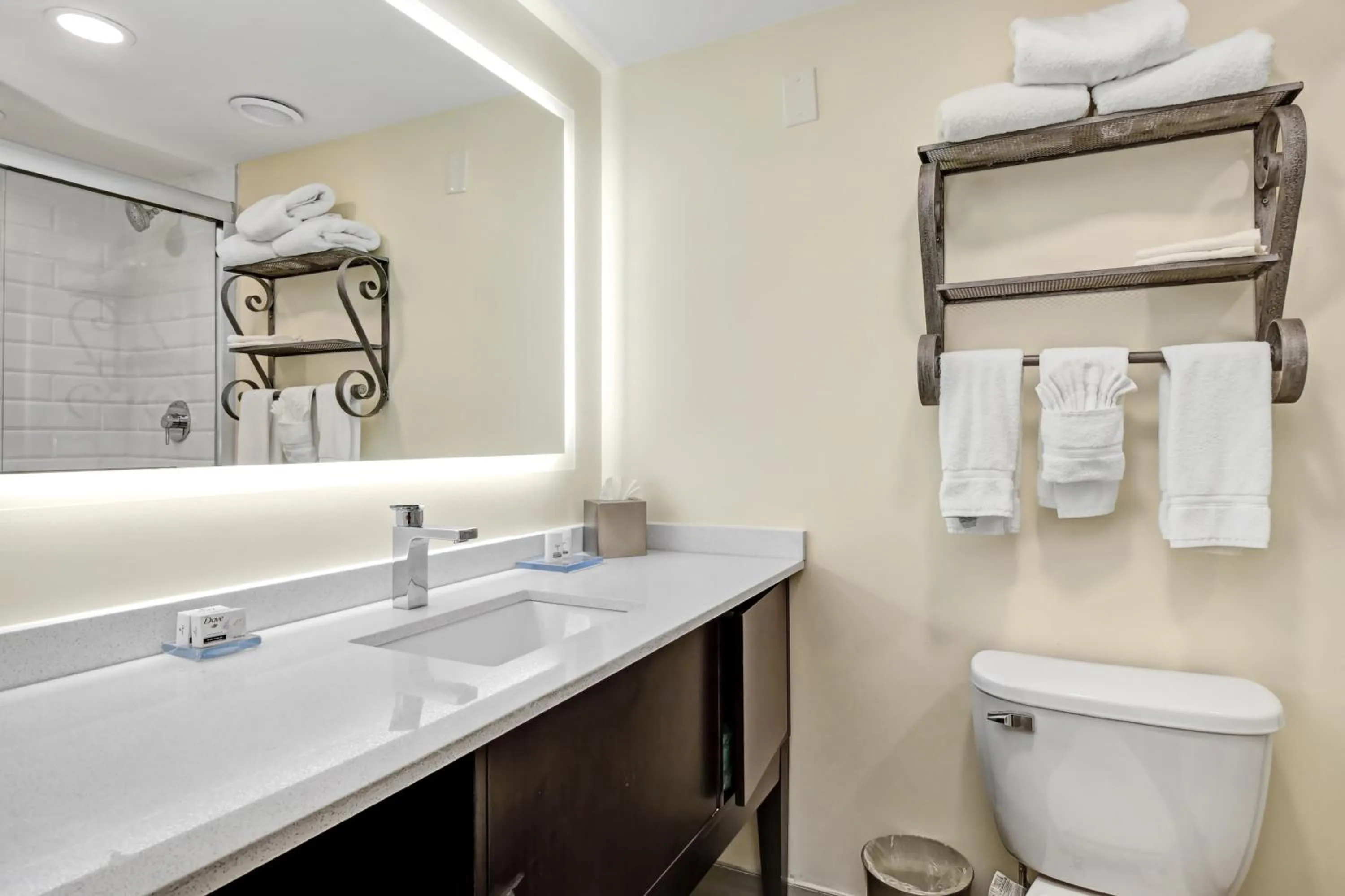 Bathroom in Holiday Inn - Piscataway - Somerset by IHG