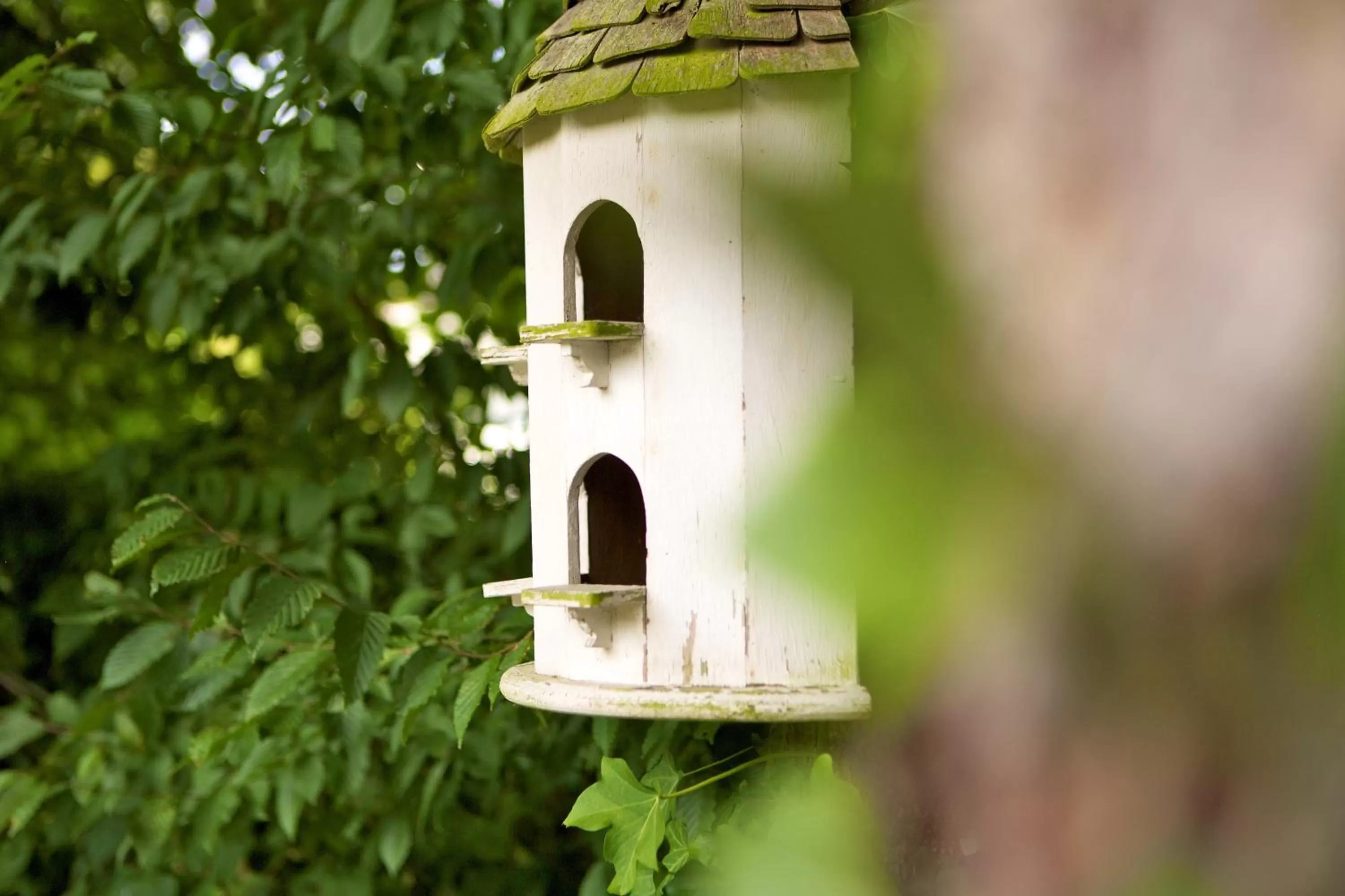 Garden in Hotel Villa Meererbusch