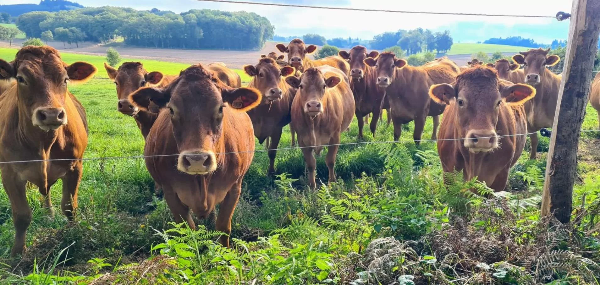 Natural landscape in Bon Chez Nous