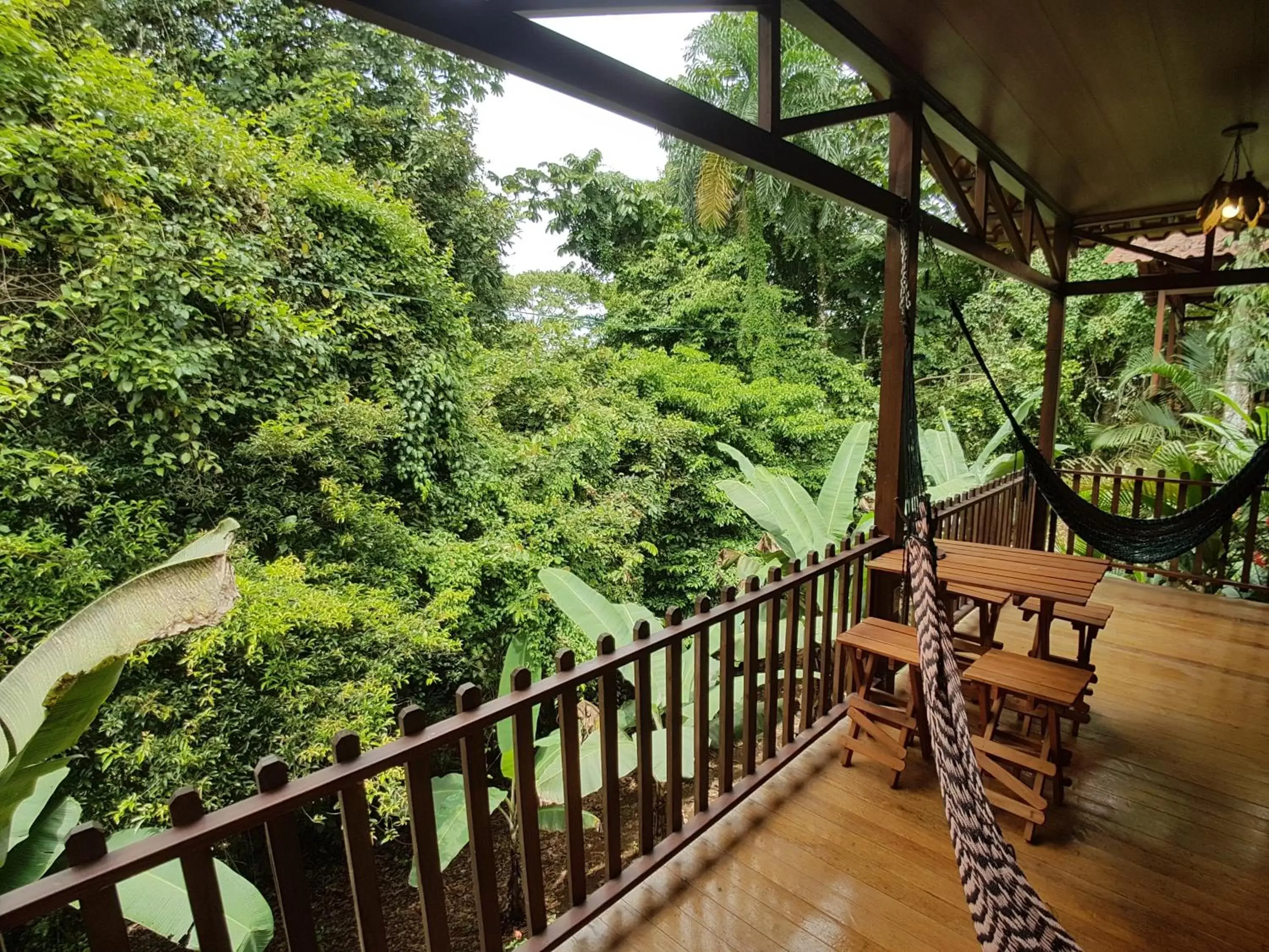 Natural landscape, Balcony/Terrace in Hotel Heliconias Nature Inn & Hot Springs