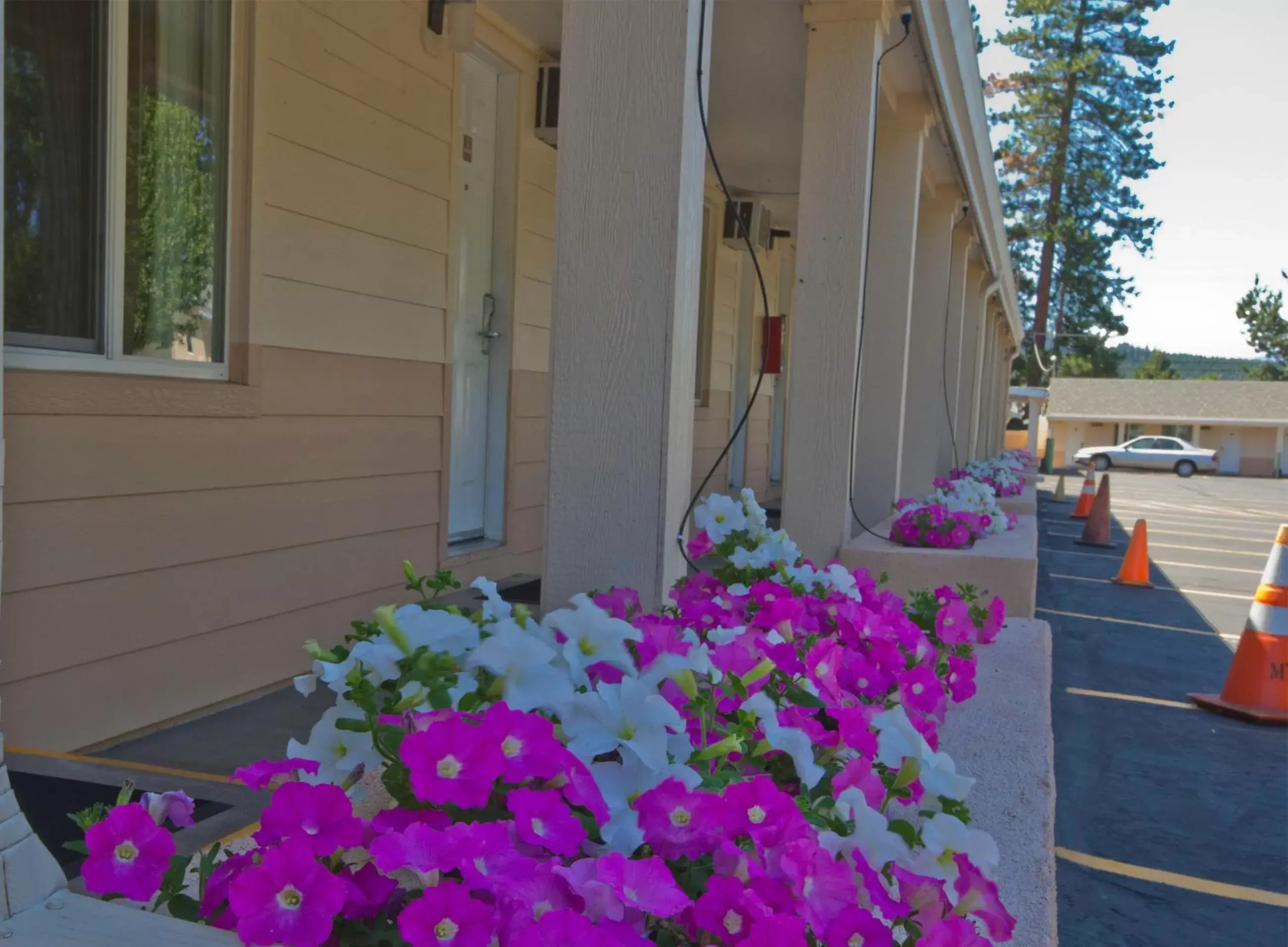 Facade/entrance in Shasta Pines Motel & Suites