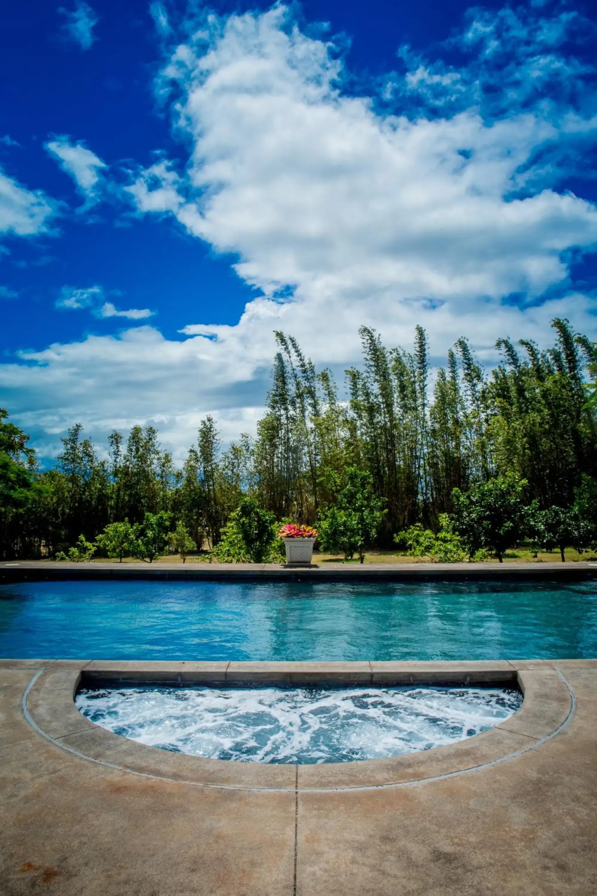 Pool view, Swimming Pool in Lumeria Maui, Educational Retreat Center