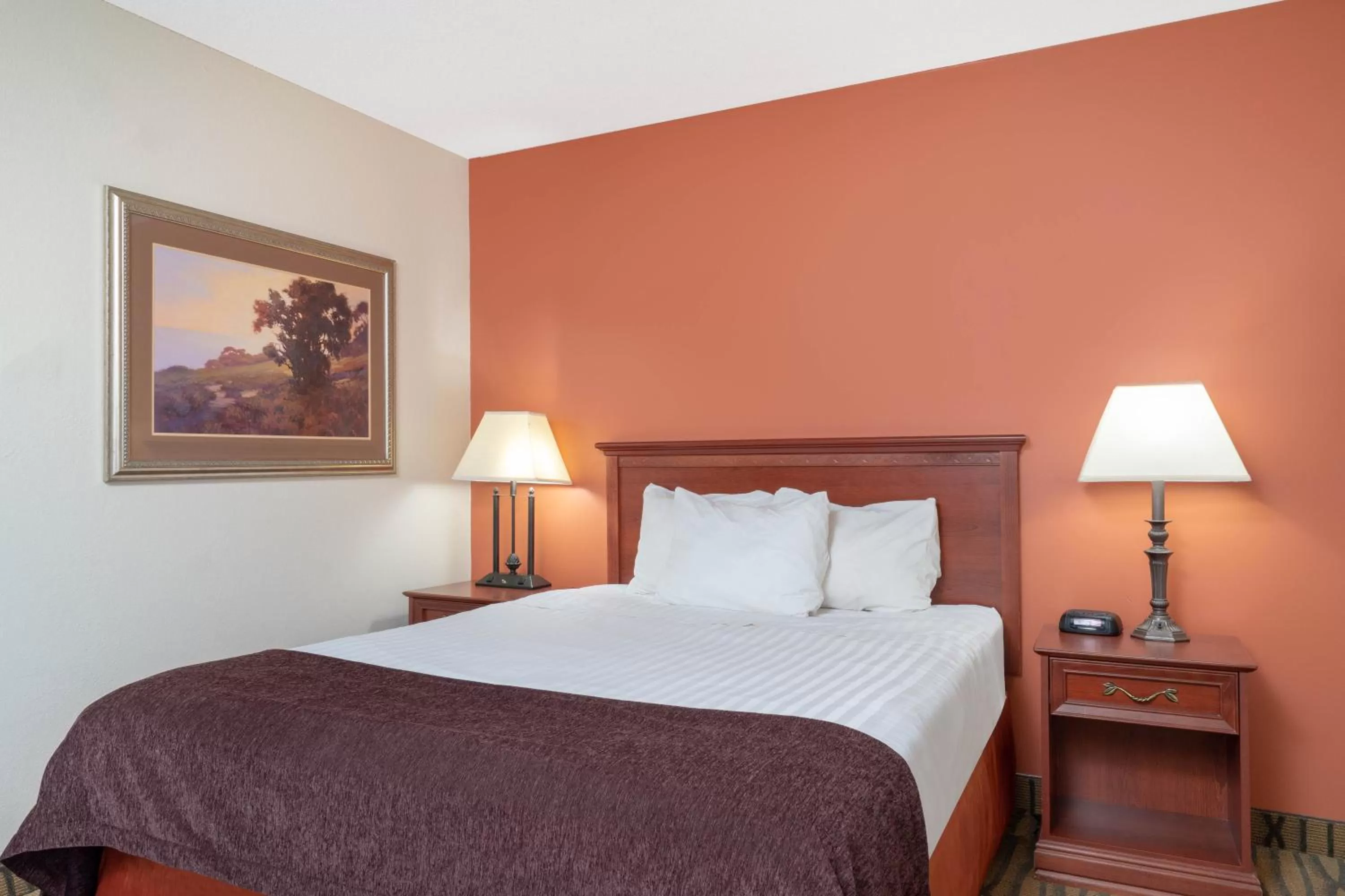 Bed in AmericInn by Wyndham Rogers