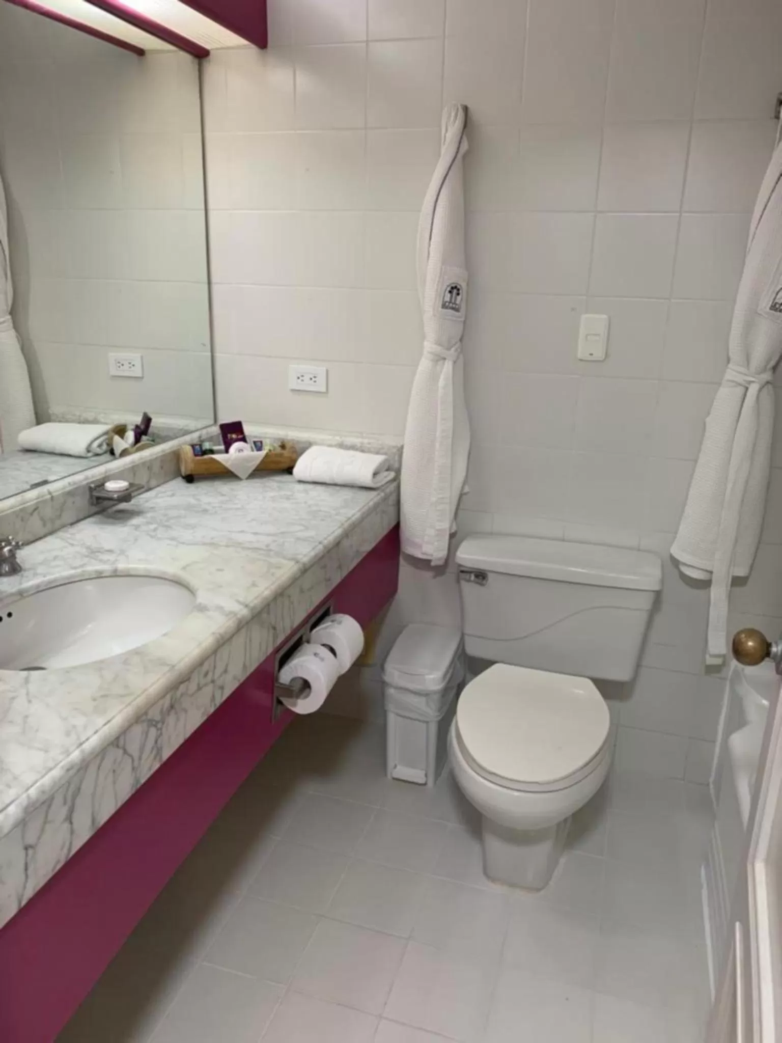 Toilet in Hotel Tocarema