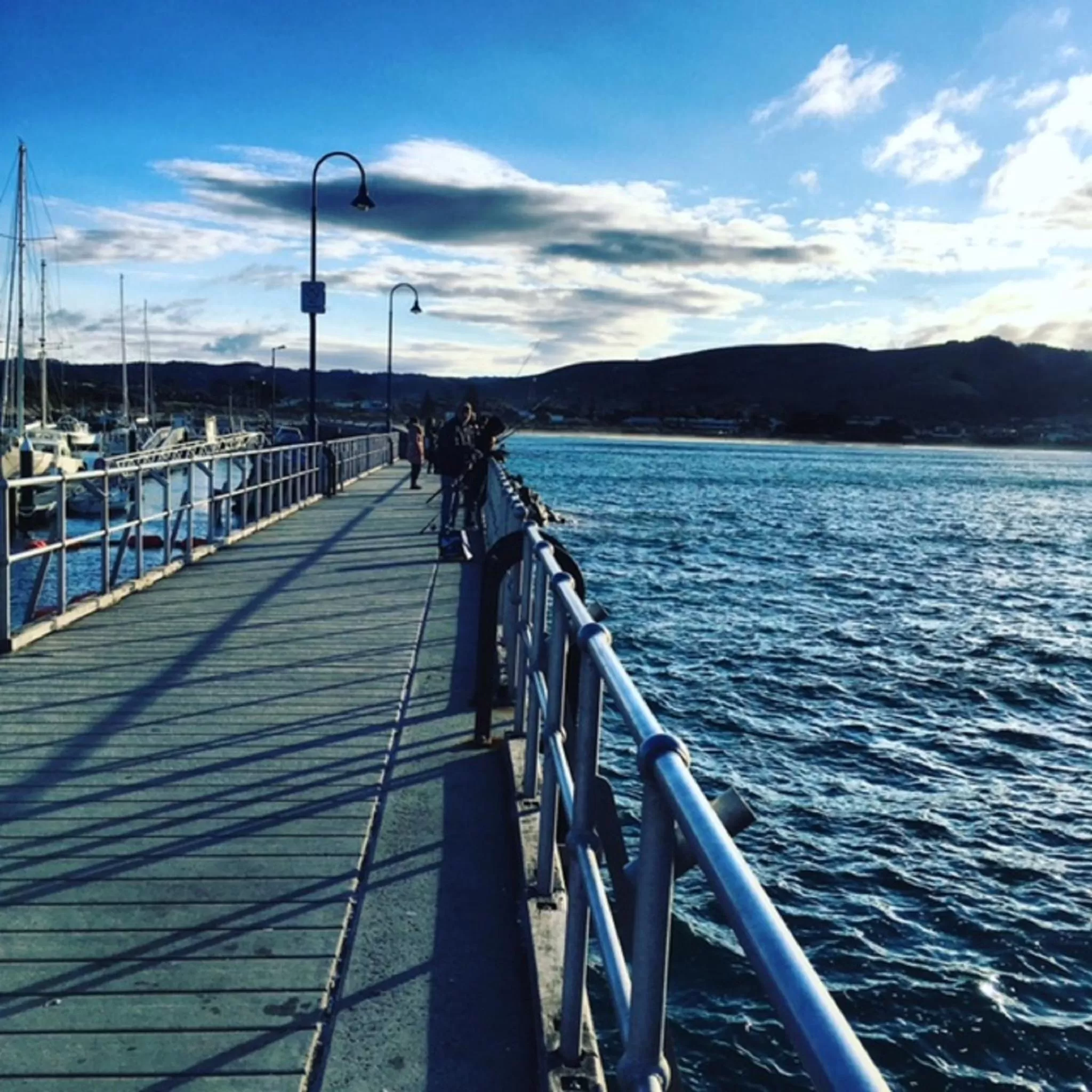 Fishing in The Dolphin Apartments