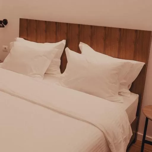 Double Room in Hotel Theatro- City Center