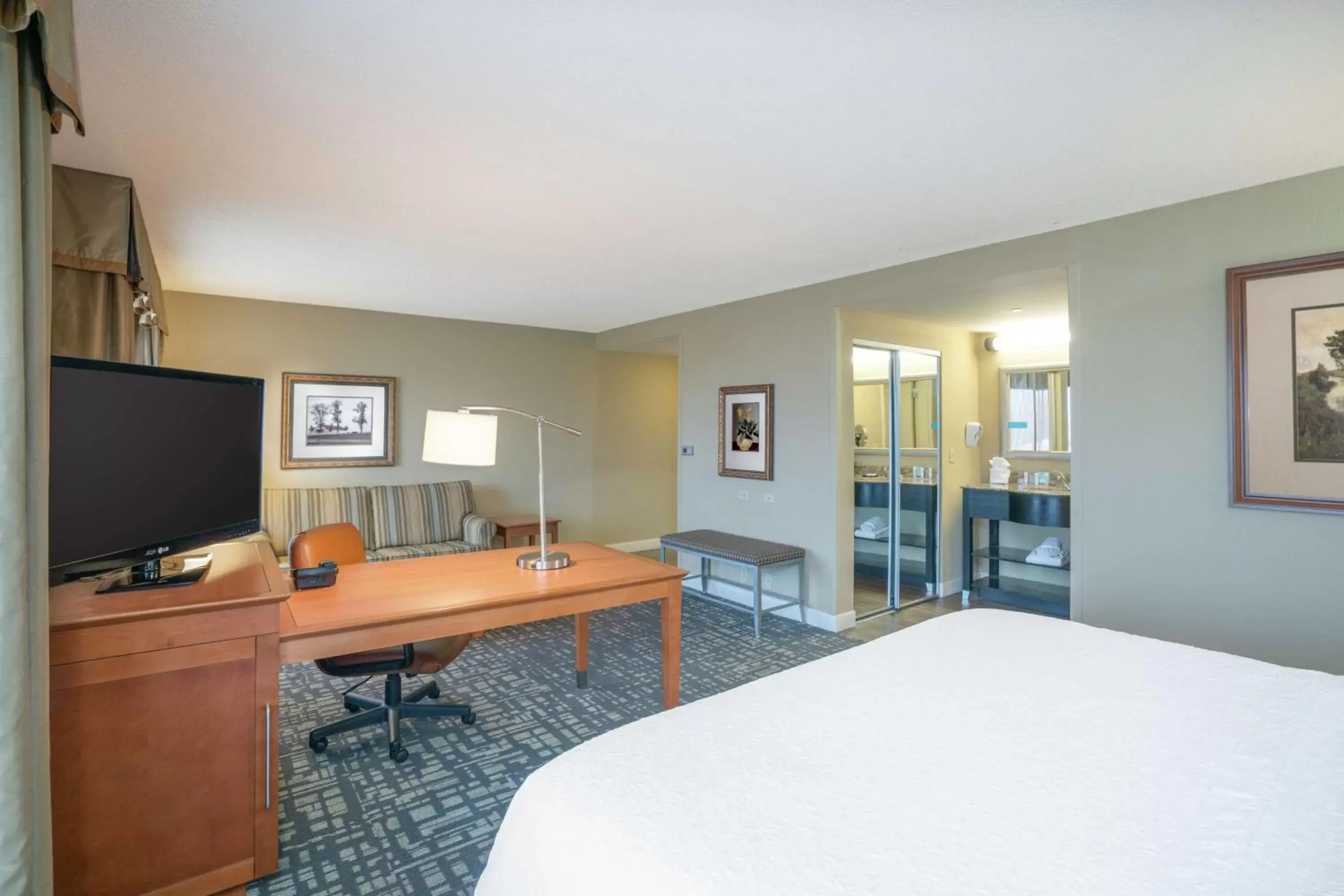 Bedroom, TV/Entertainment Center in Hampton Inn & Suites Murfreesboro