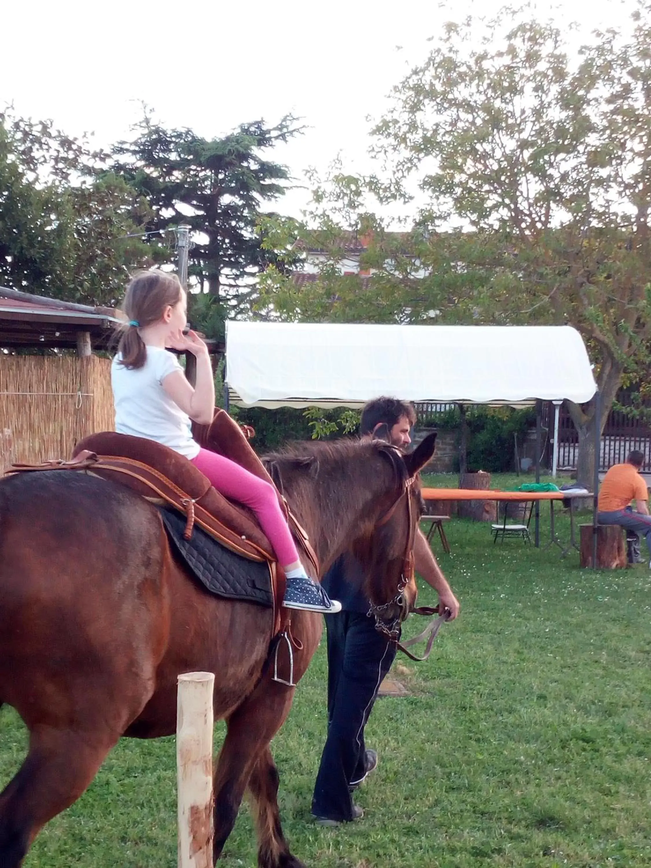 Pets, Horseback Riding in La Nepitella