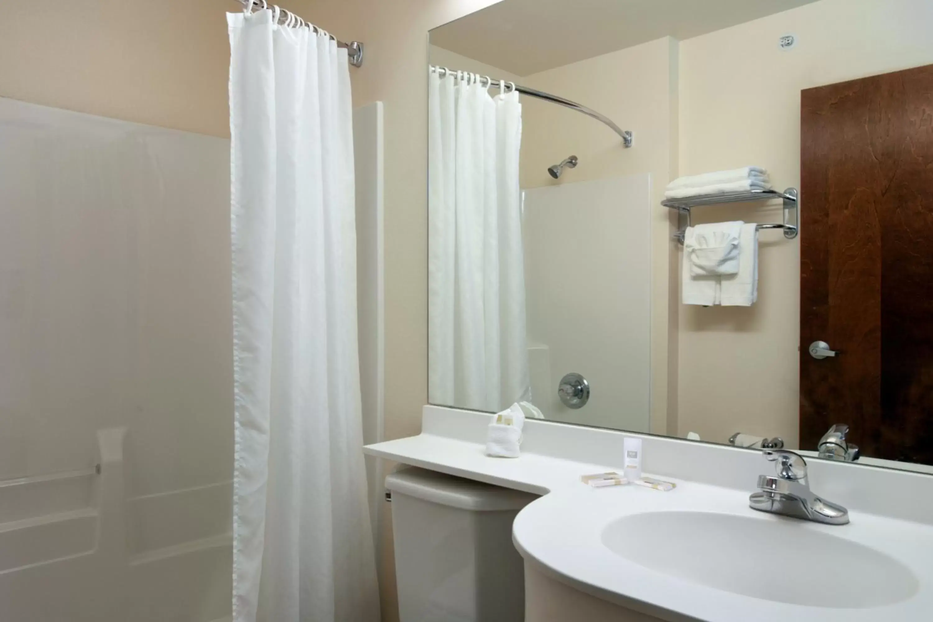 Bathroom in Microtel Inn & Suites by Wyndham Bellevue