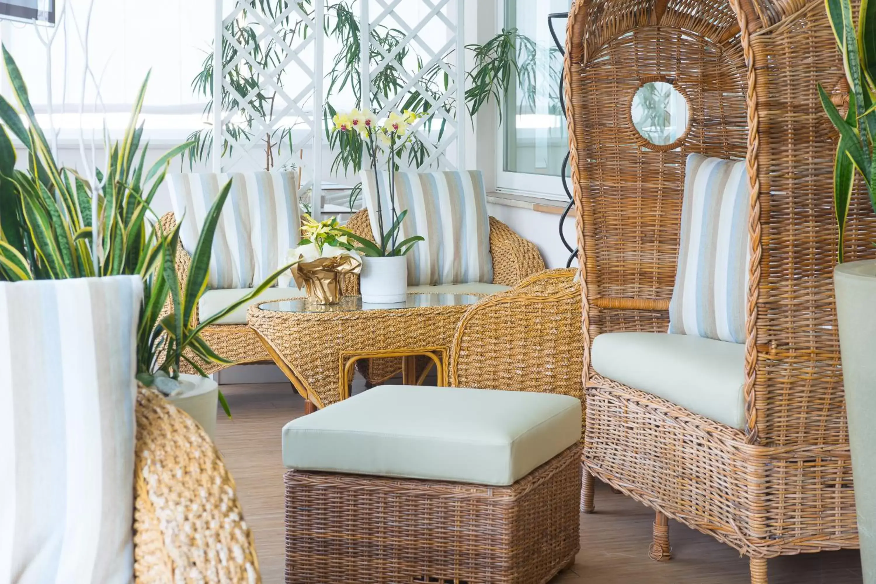 Patio, Seating Area in Hotel Cristallo