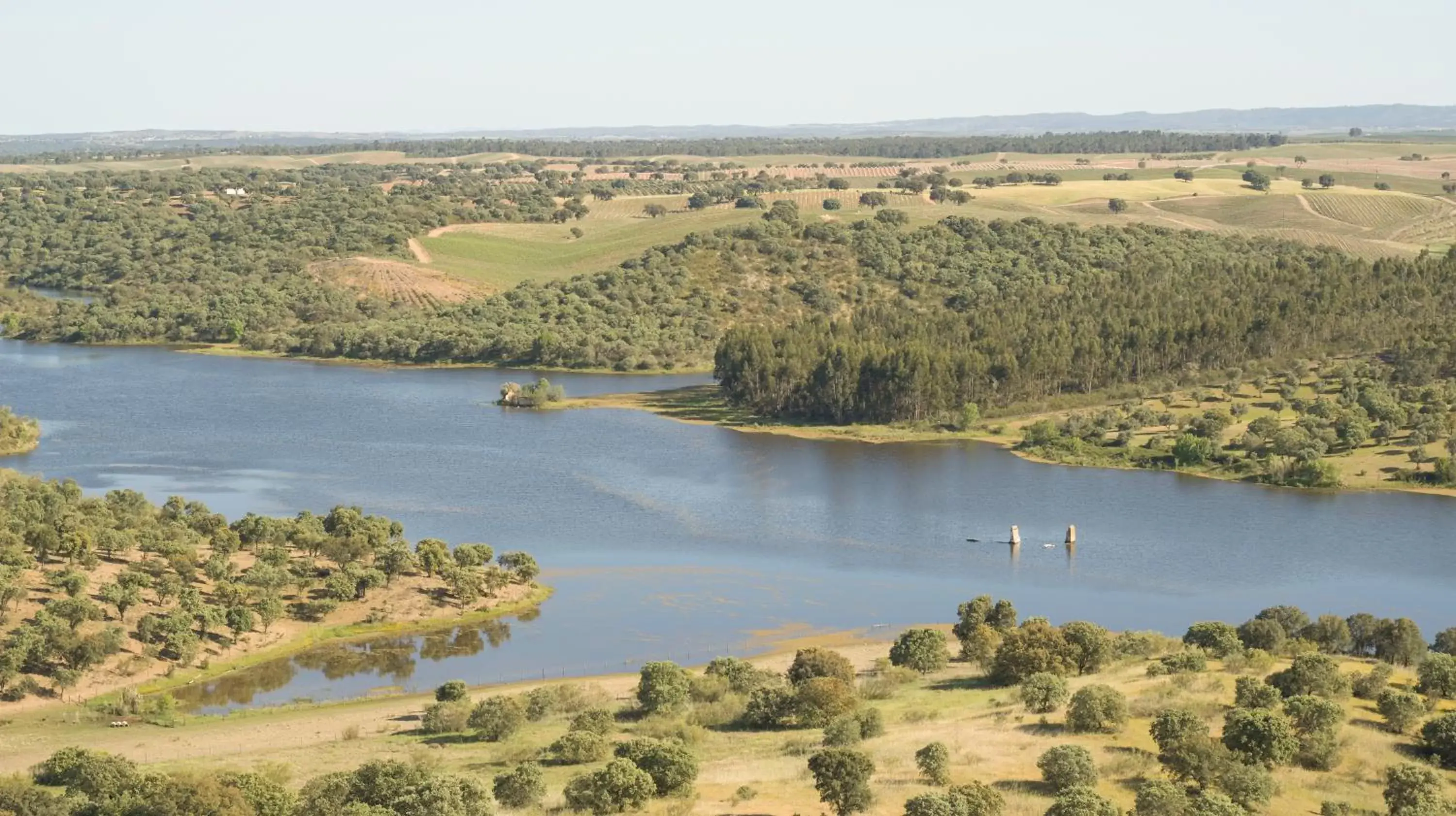 Bird's eye view, Bird's-eye View in Octant Evora