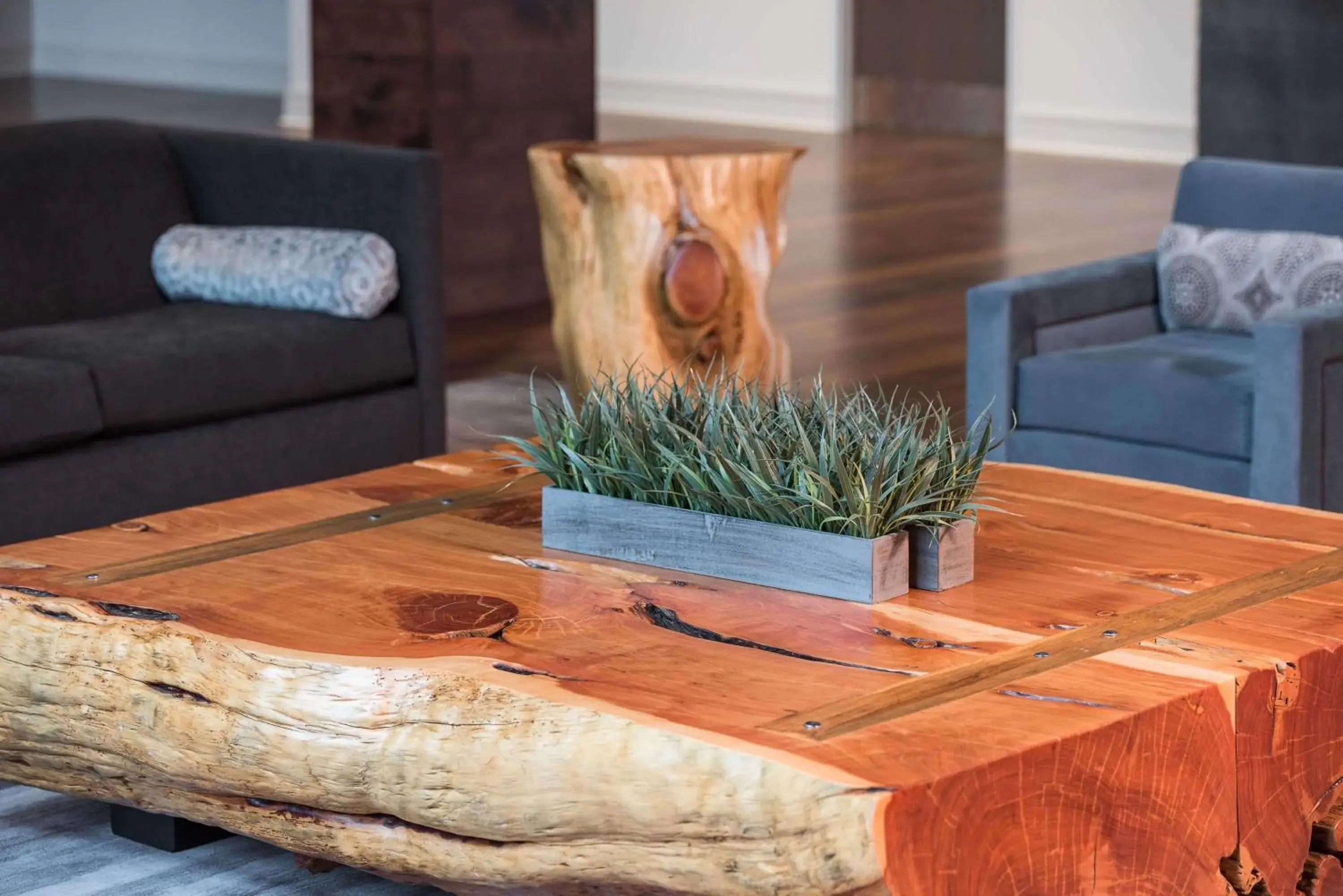 Lobby or reception, Seating Area in Sonesta Bee Cave Austin