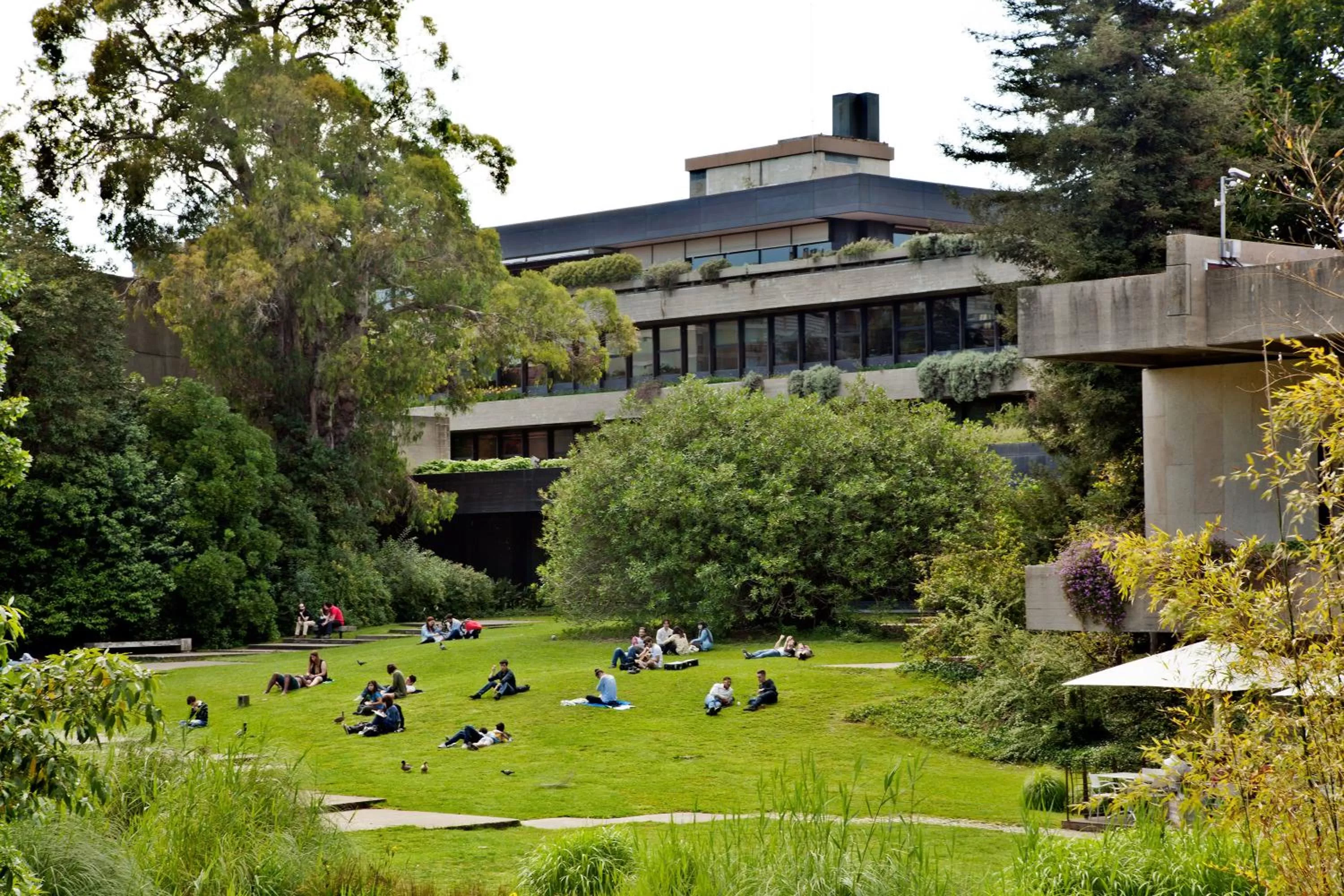 Activities in SANA Reno Hotel