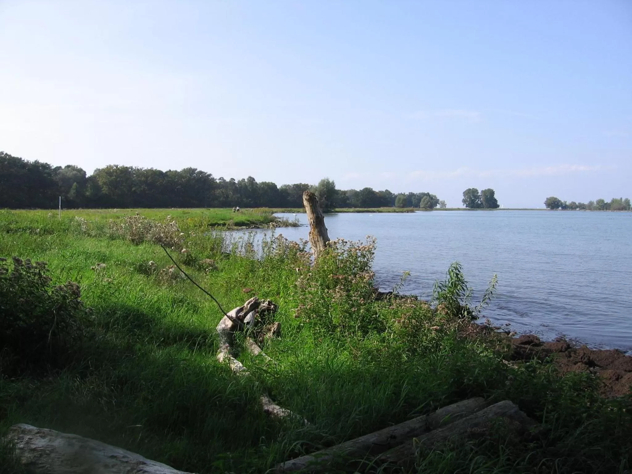 Area and facilities in Das smarte Hotel garni