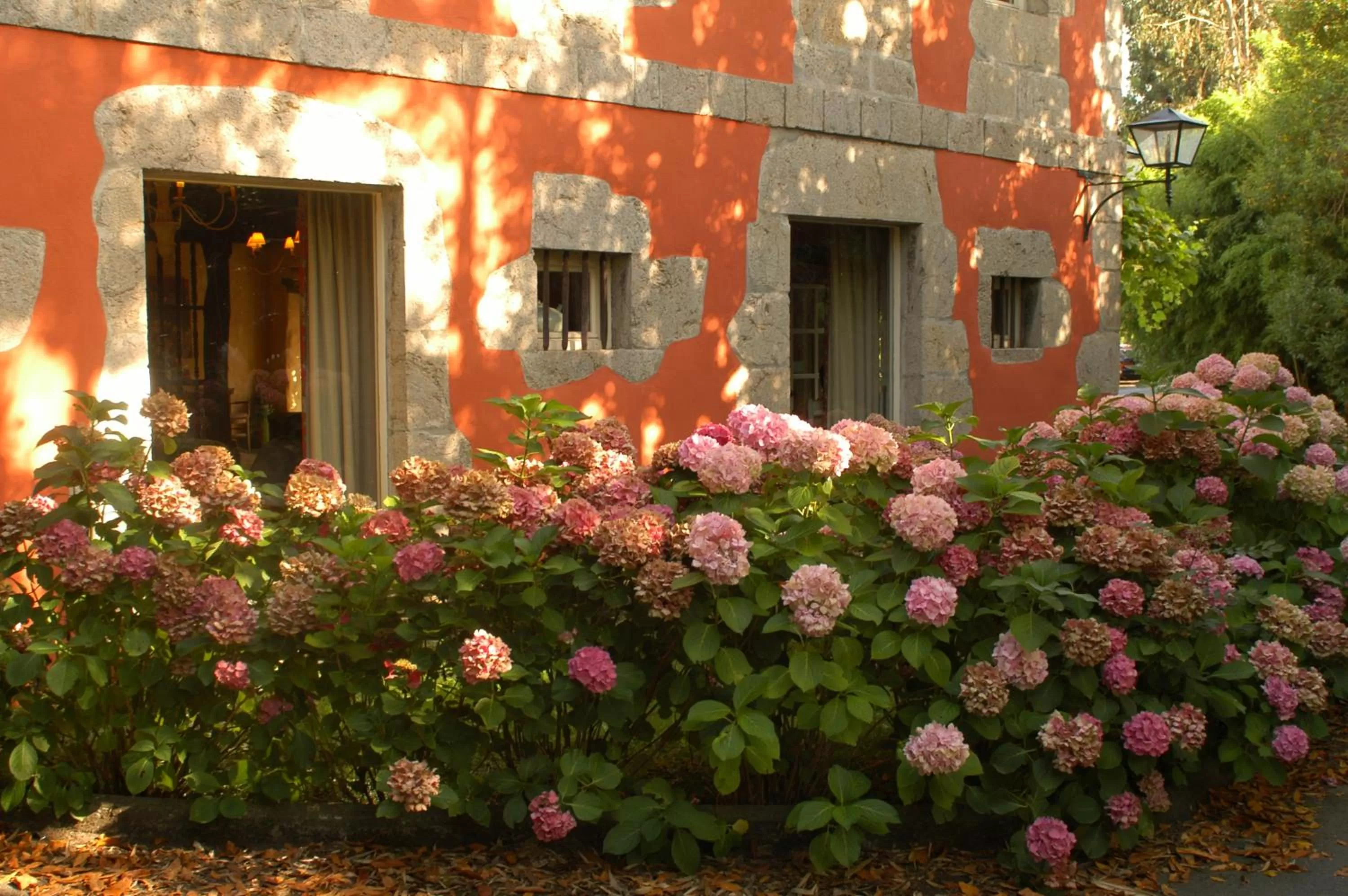 Other in Hotel Zubieta