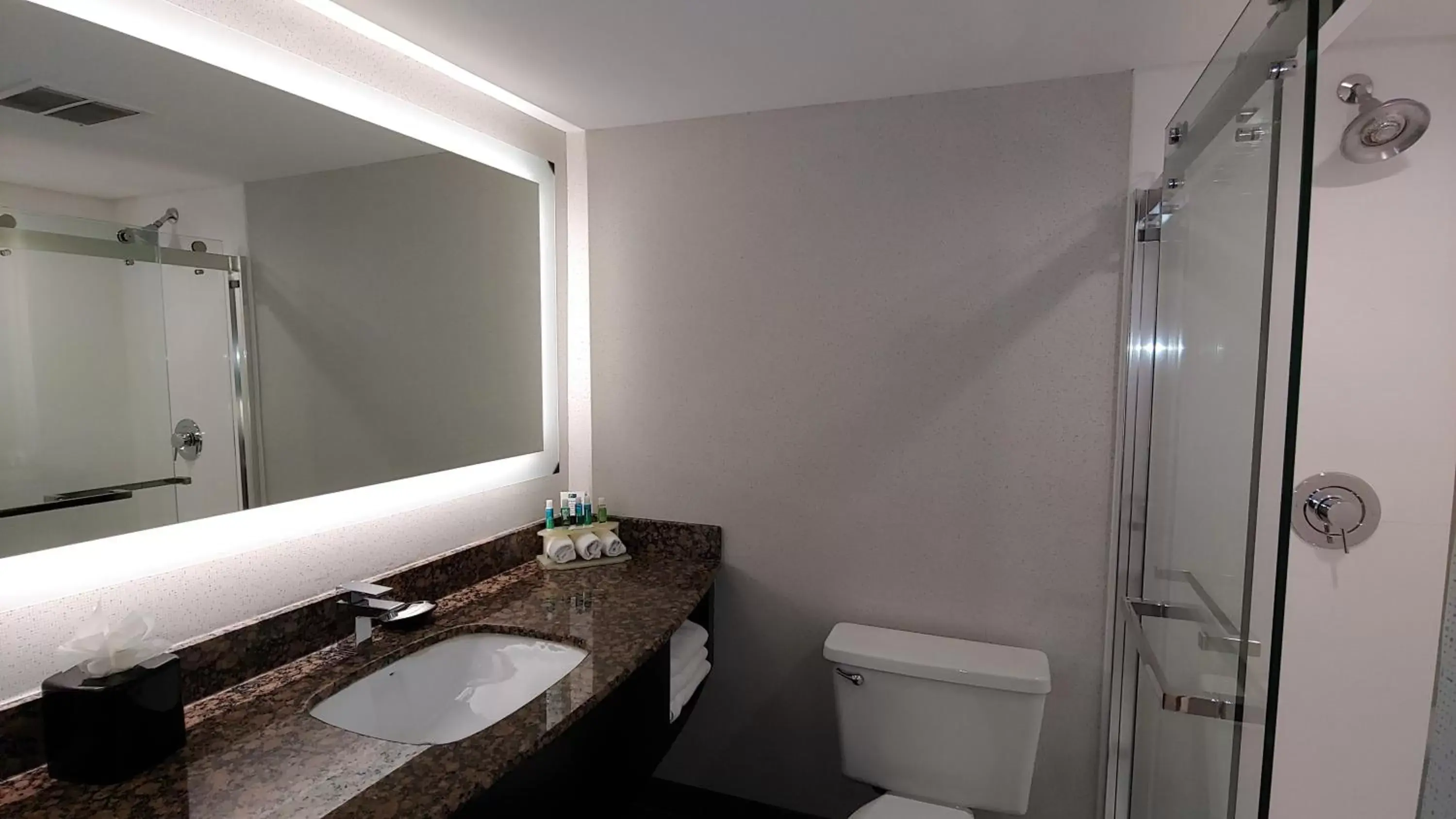 Bathroom in Holiday Inn Express Schaumburg-Rolling Meadows, an IHG Hotel