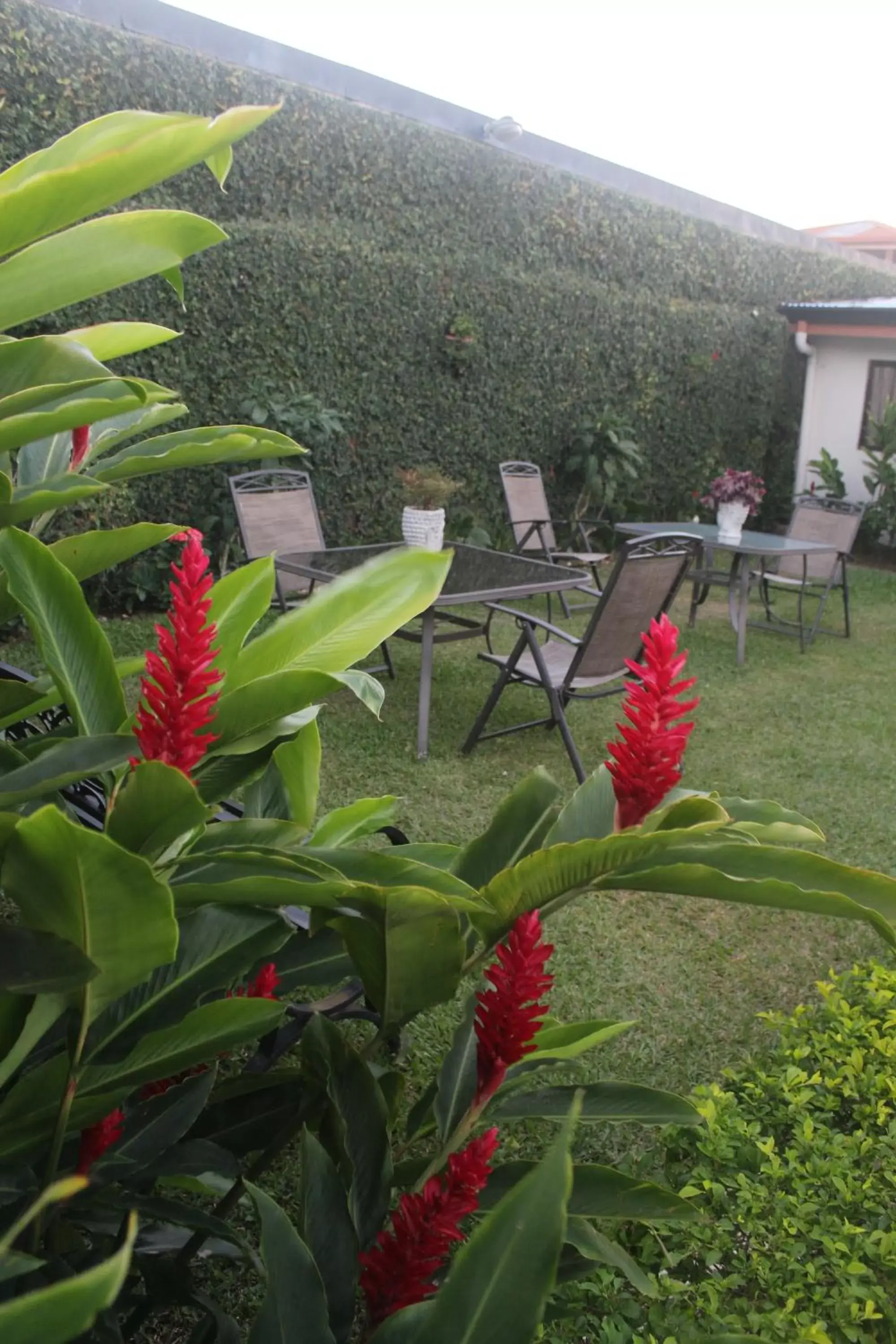 Patio, Garden in Berlor Airport Inn
