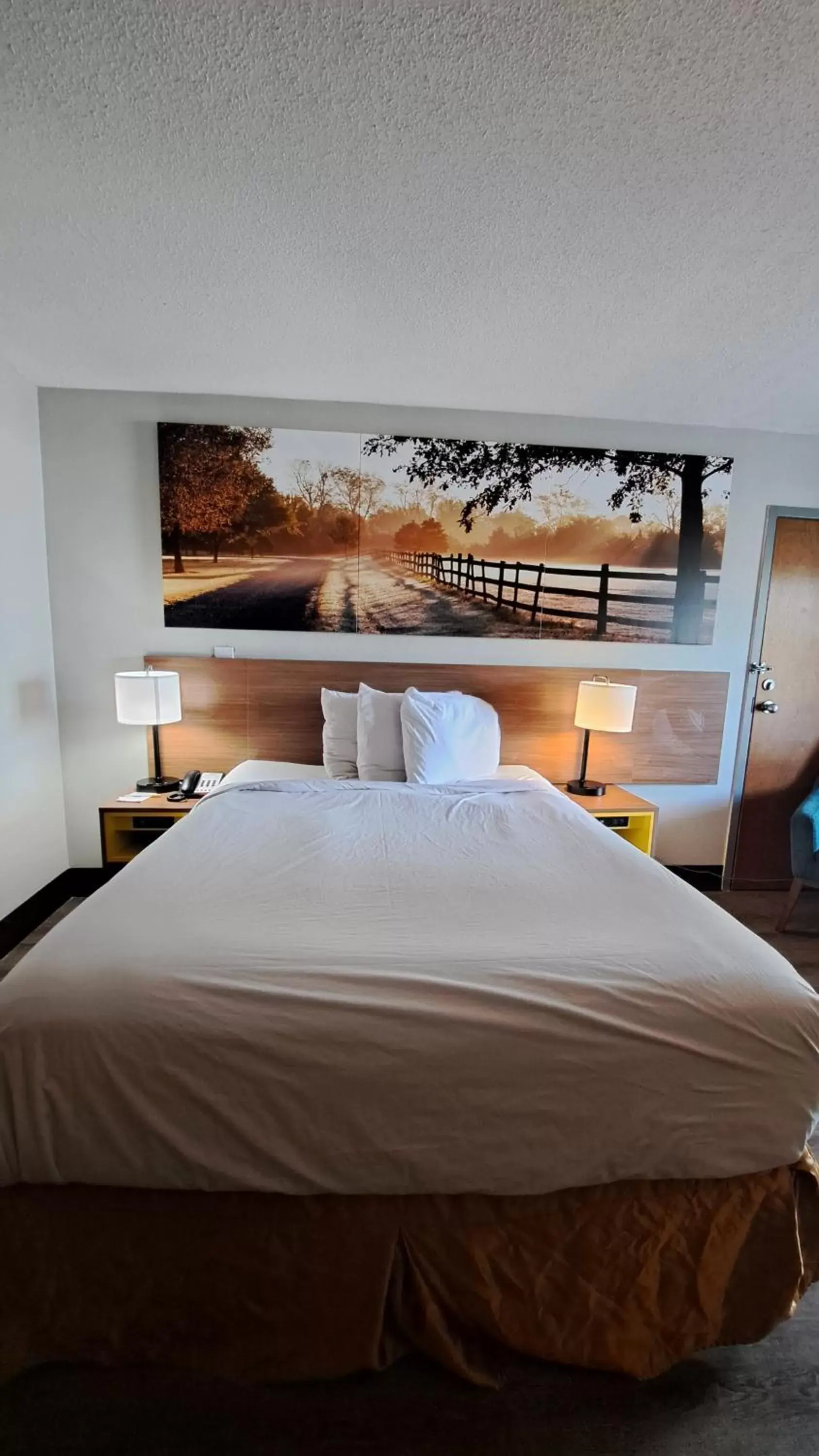 Bed in Days Inn & Suites by Wyndham Rocky Mount Golden East