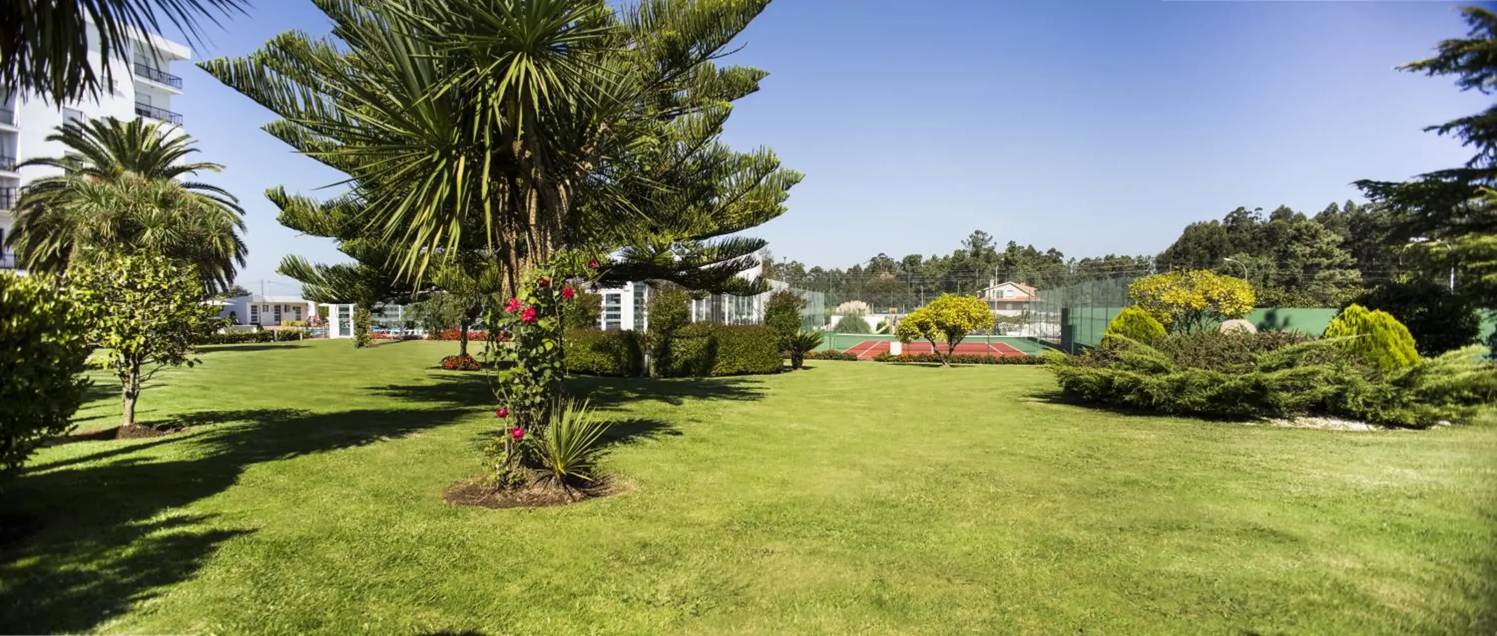 Garden in Nuevo Astur Spa