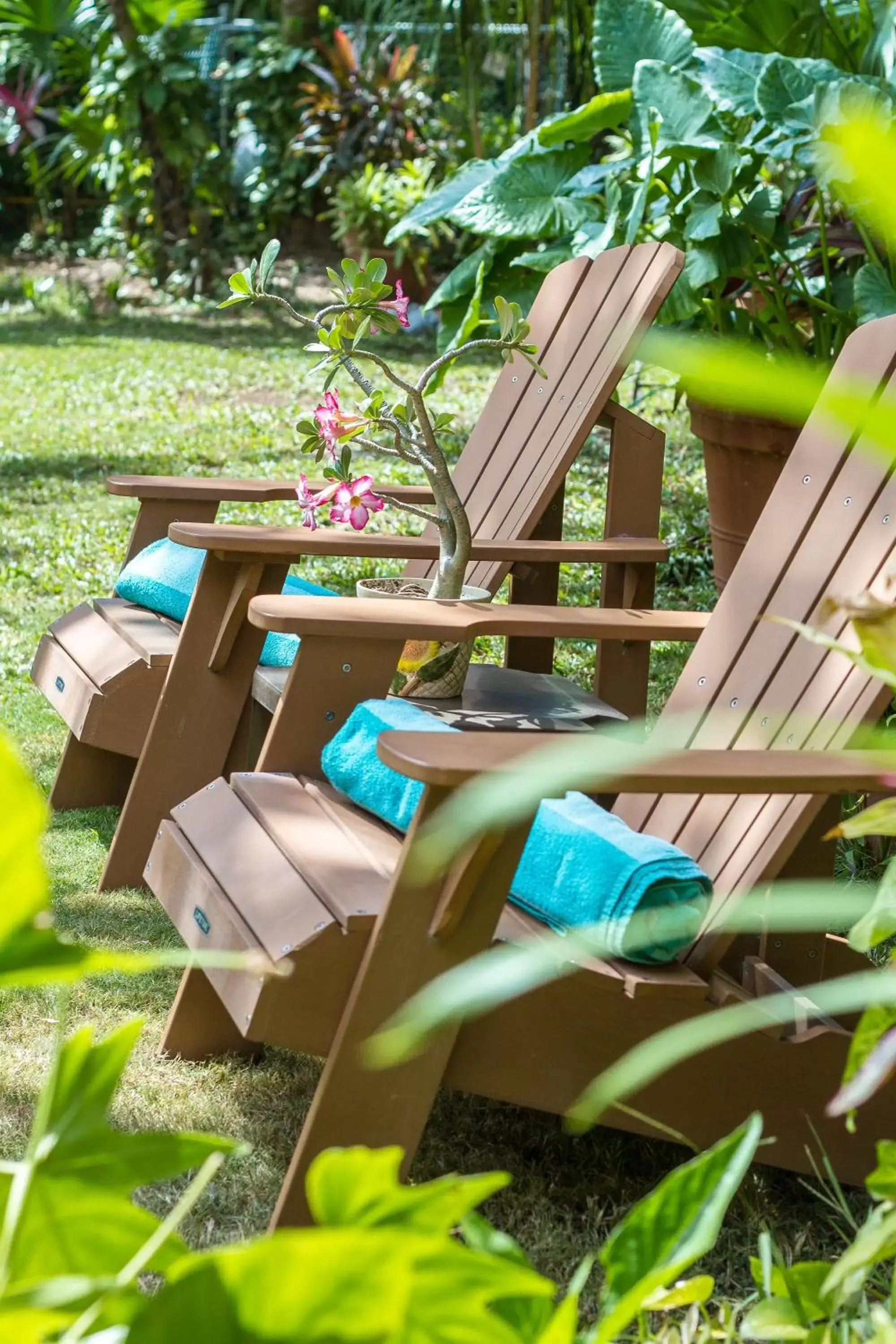 Garden, Children's Play Area in Hotel Lunata - 5th Avenue