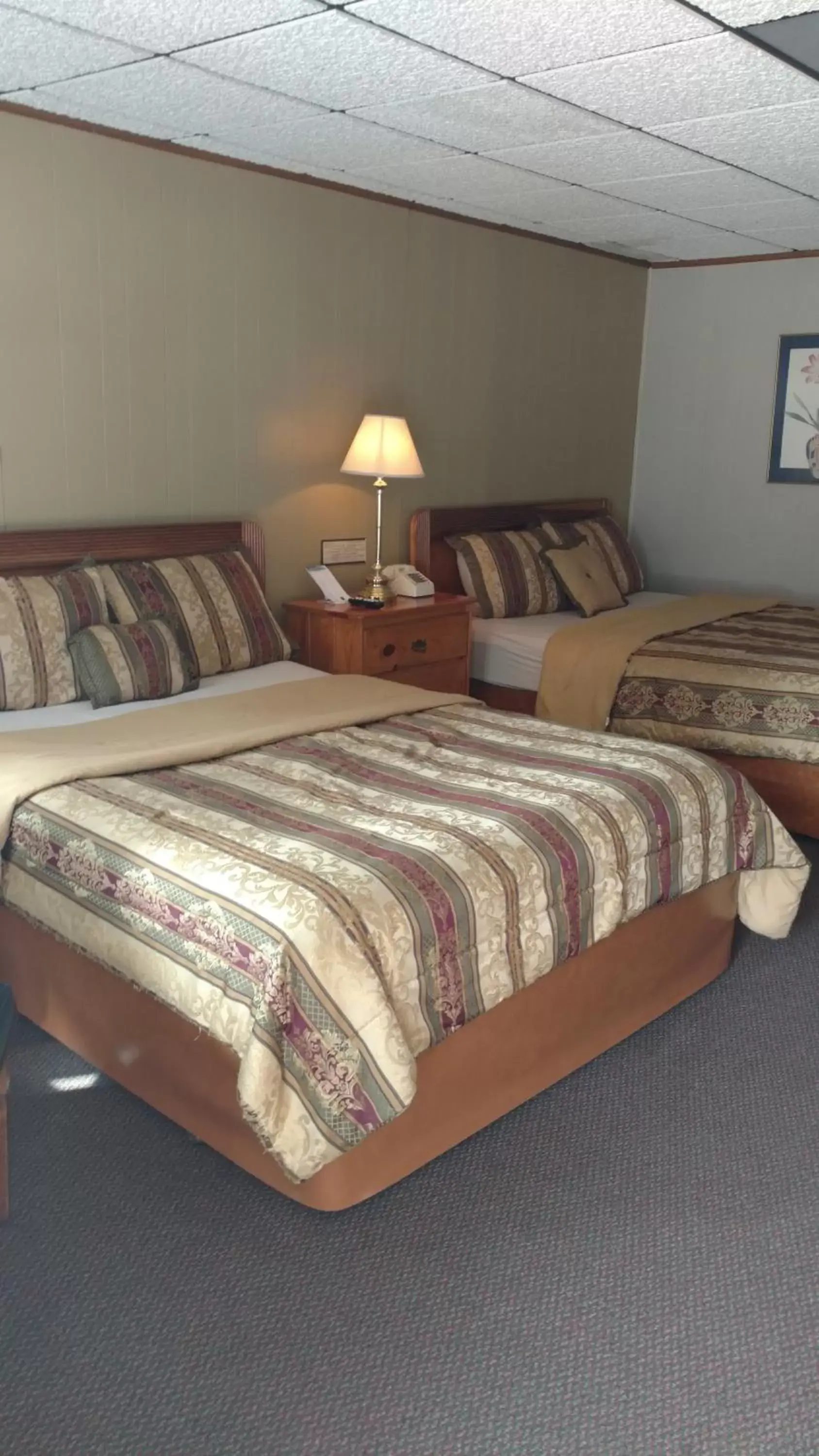 Bed in Five Star Inn - Maggie Valley