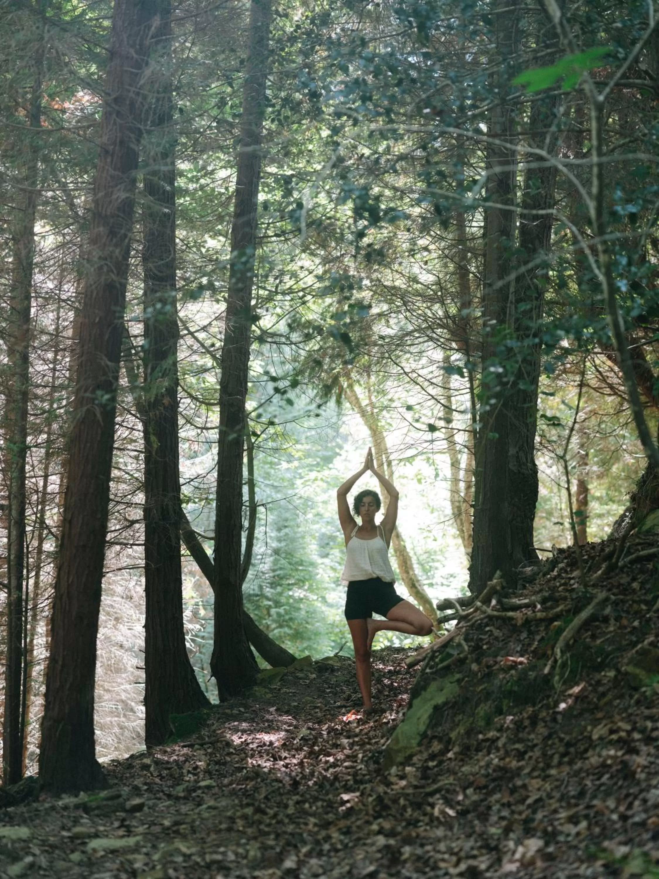 Hotel Nafarrola - Gastronomy & Wine