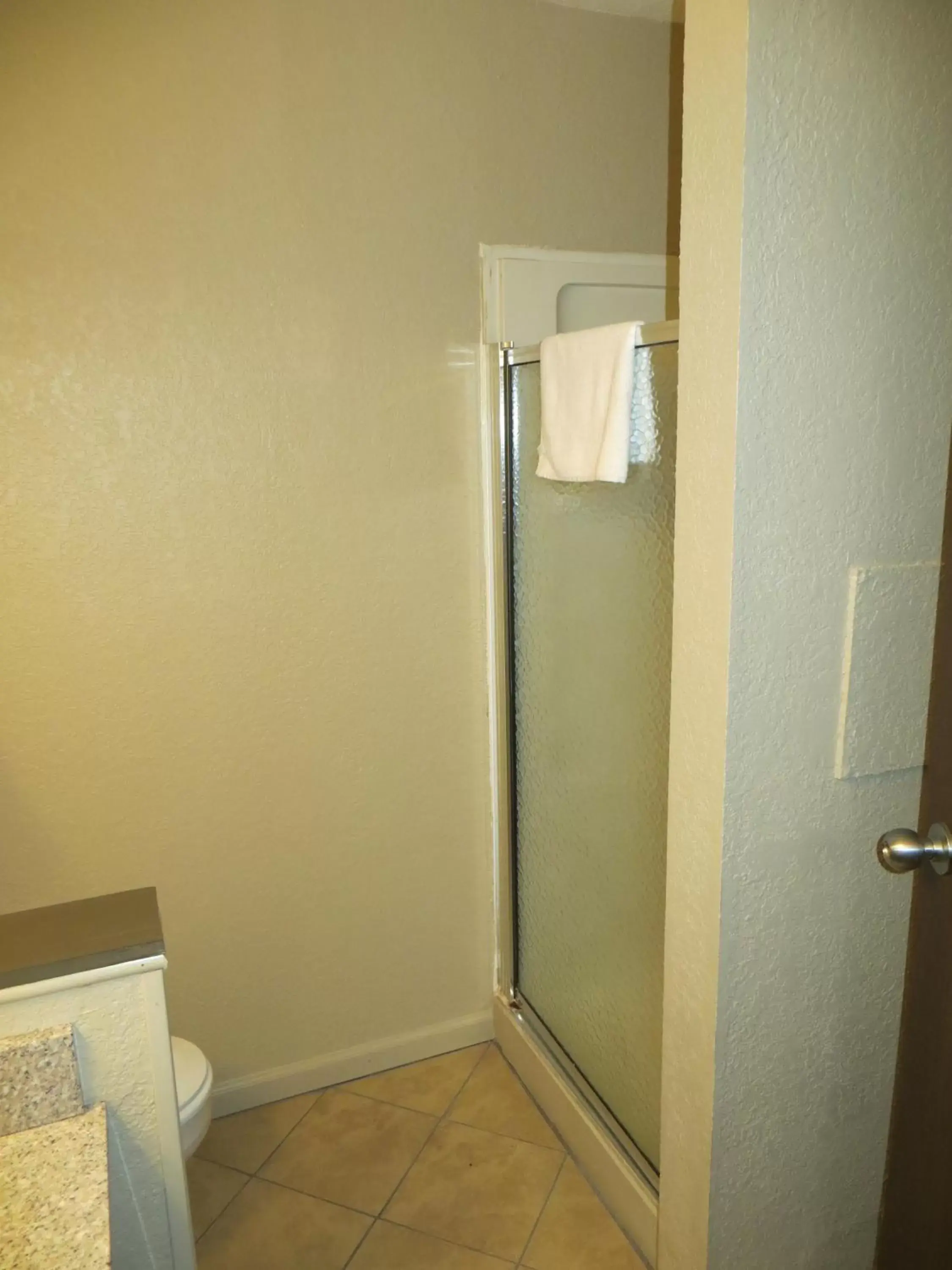 Shower, Bathroom in Americourt Hotel and Suites - Elizabethton