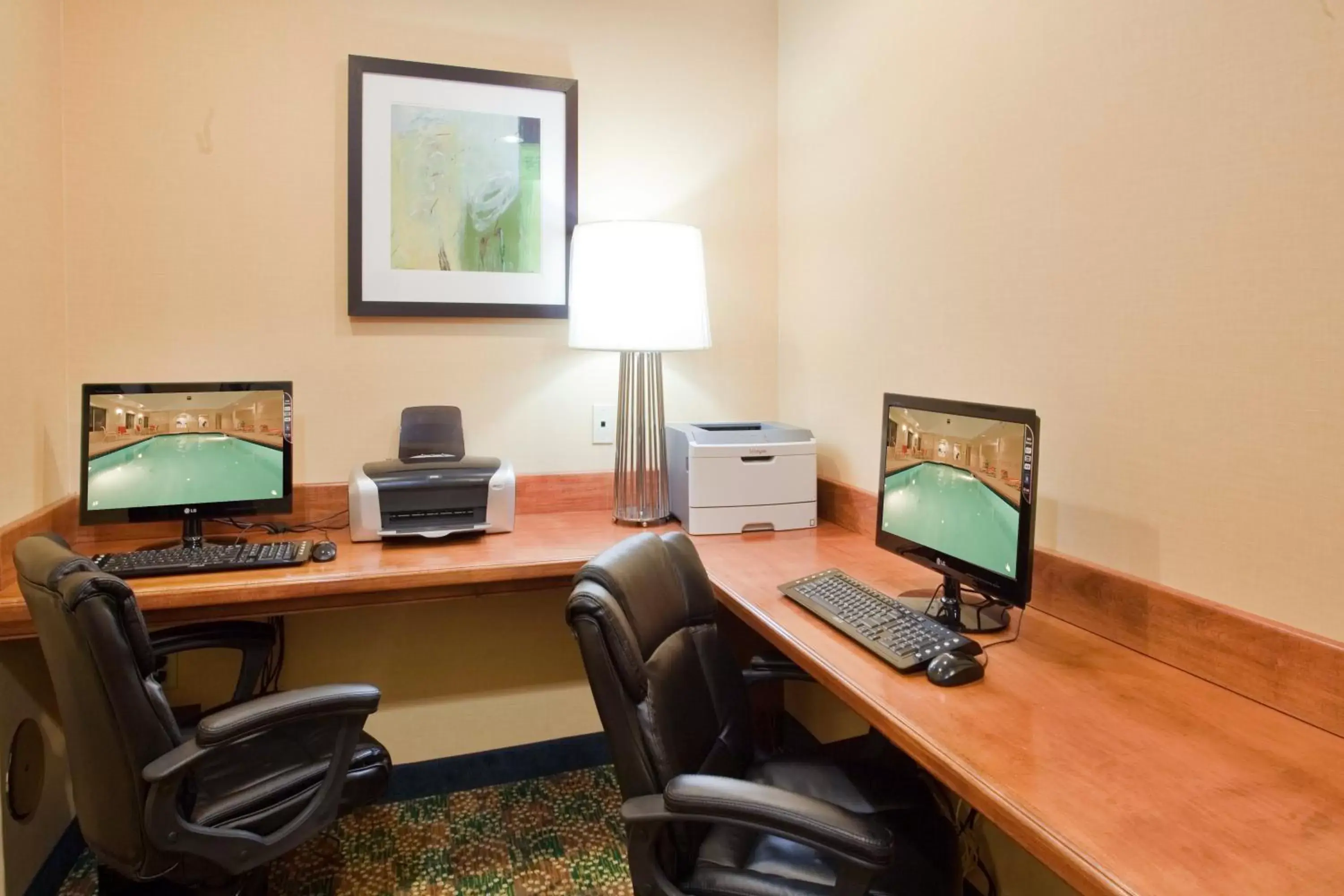 Other, Business Area/Conference Room in Holiday Inn Express Hotel & Suites Fredericksburg, an IHG Hotel