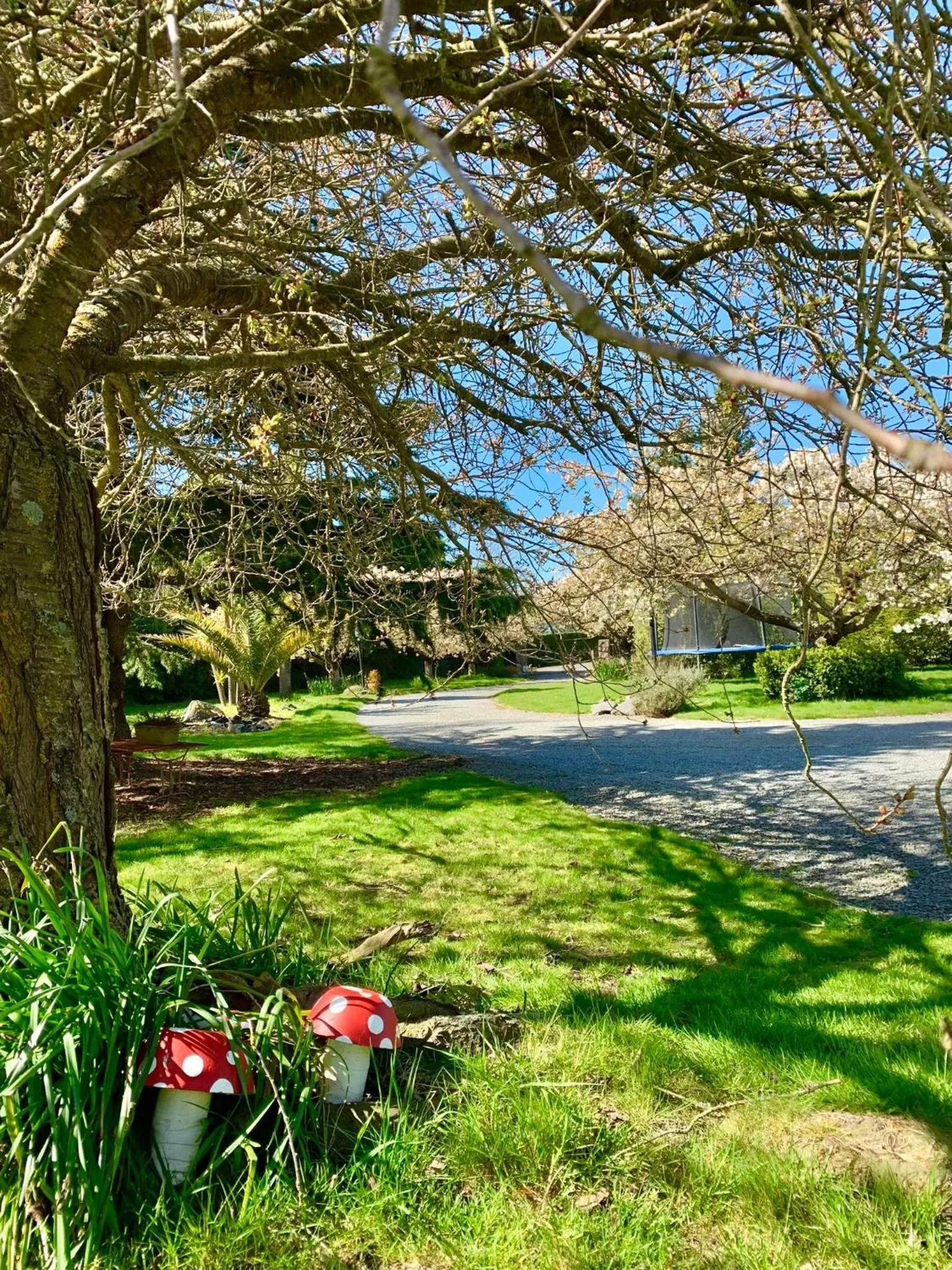 Spring in Newlands Bed and Breakfast