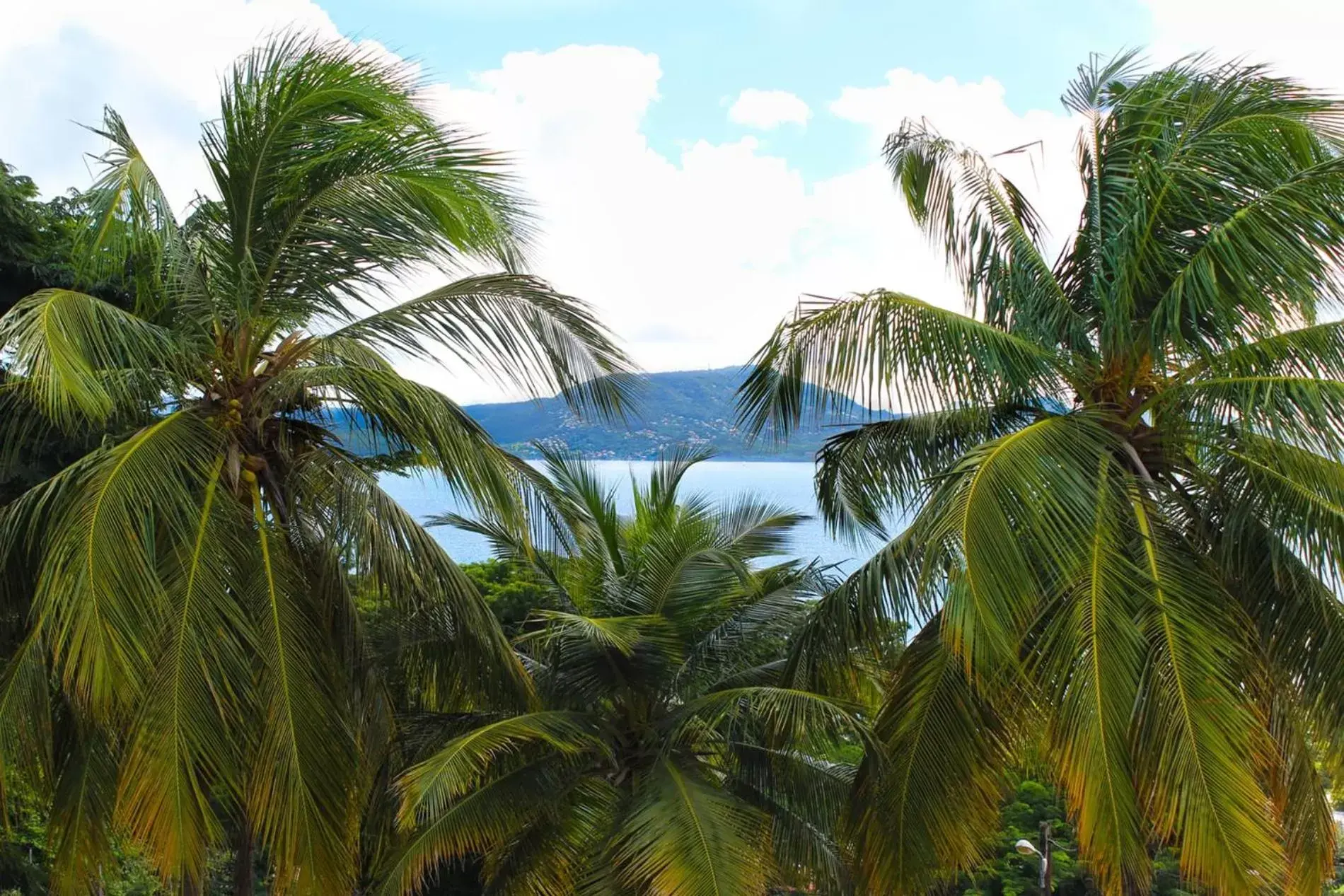 Sea View in Karibea Squash Hotel & Spa