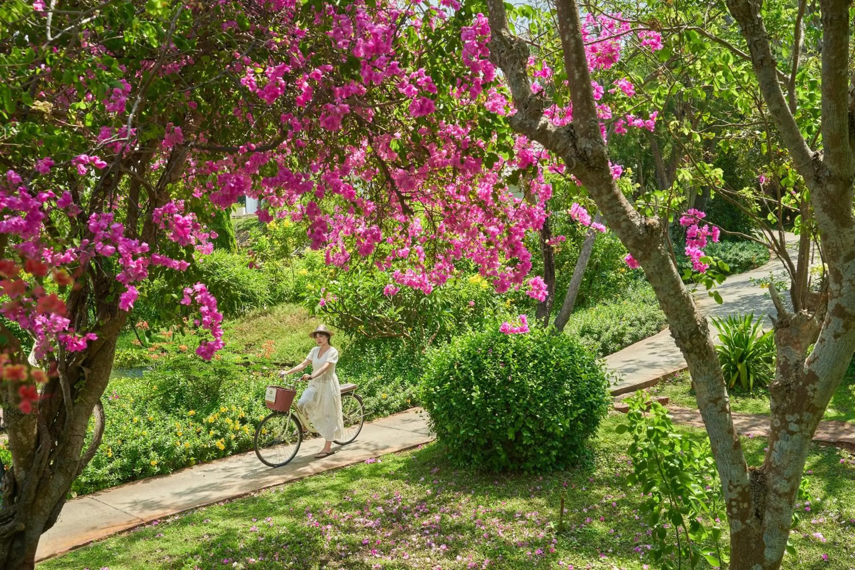 Natural landscape, Garden in Fleur De Lys Resort & Spa Long Hai