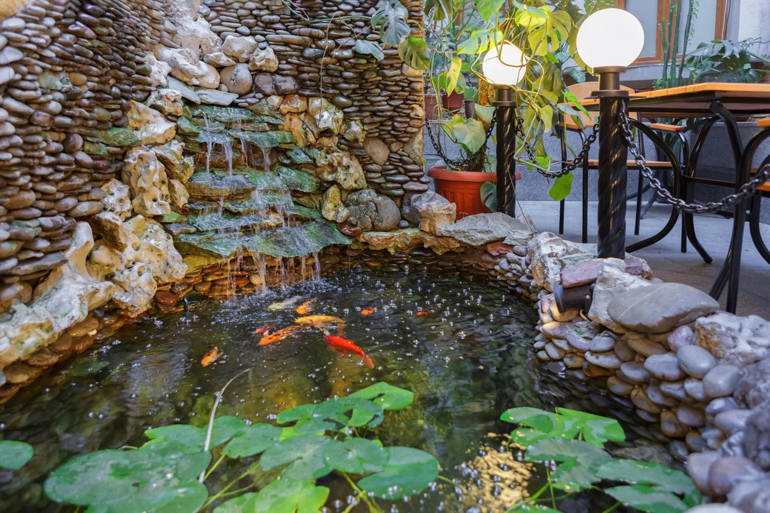 Animals in Alarus Luxe Hotel