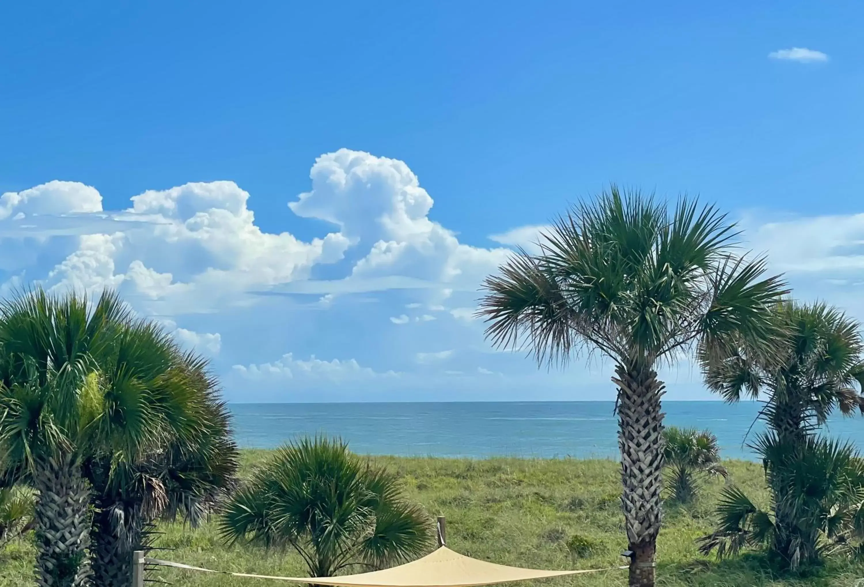 View (from property/room) in Magic Beach Motel - Vilano Beach, Saint Augustine