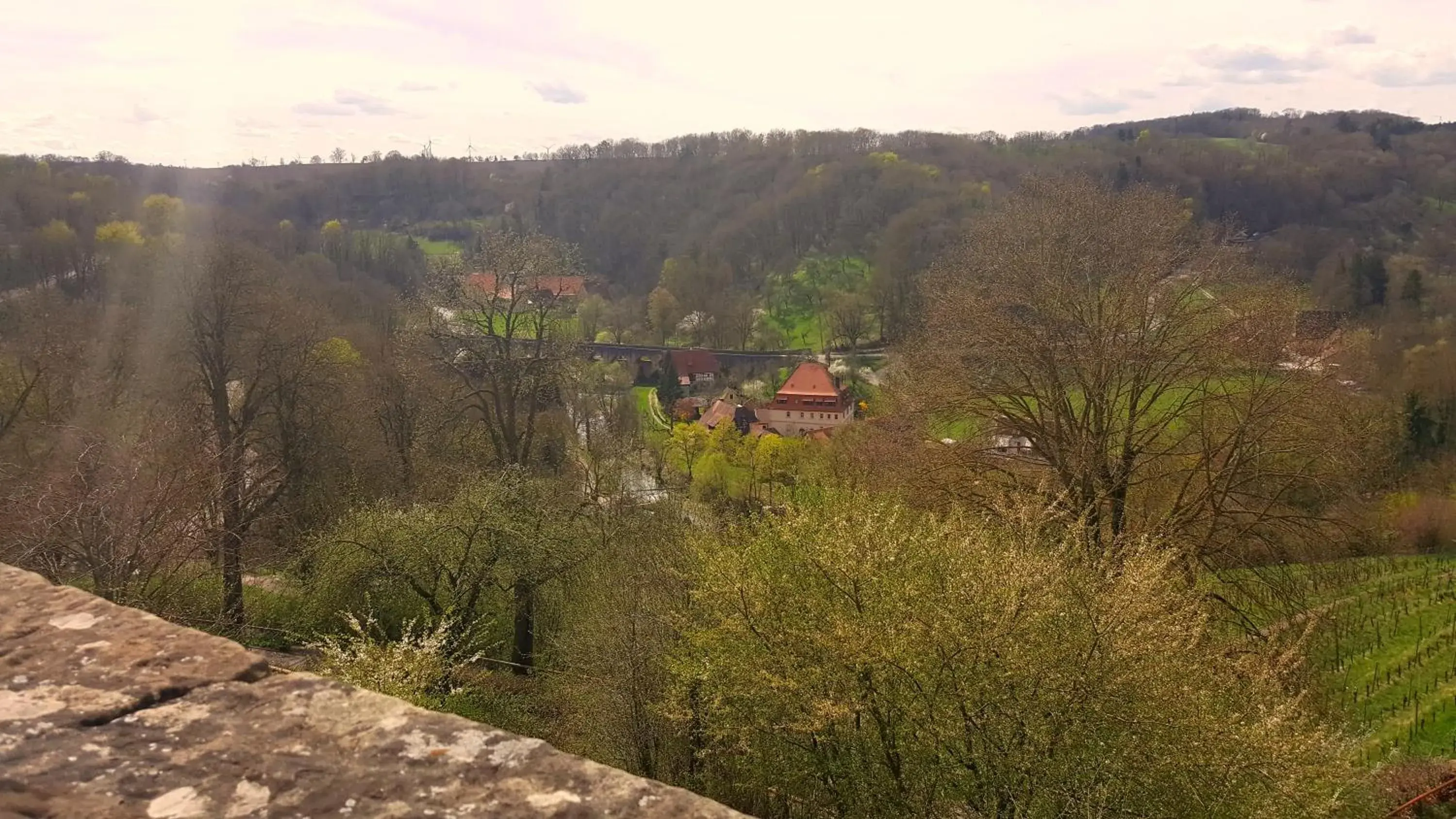 Natural landscape in Boutiquehotel Goldene Rose