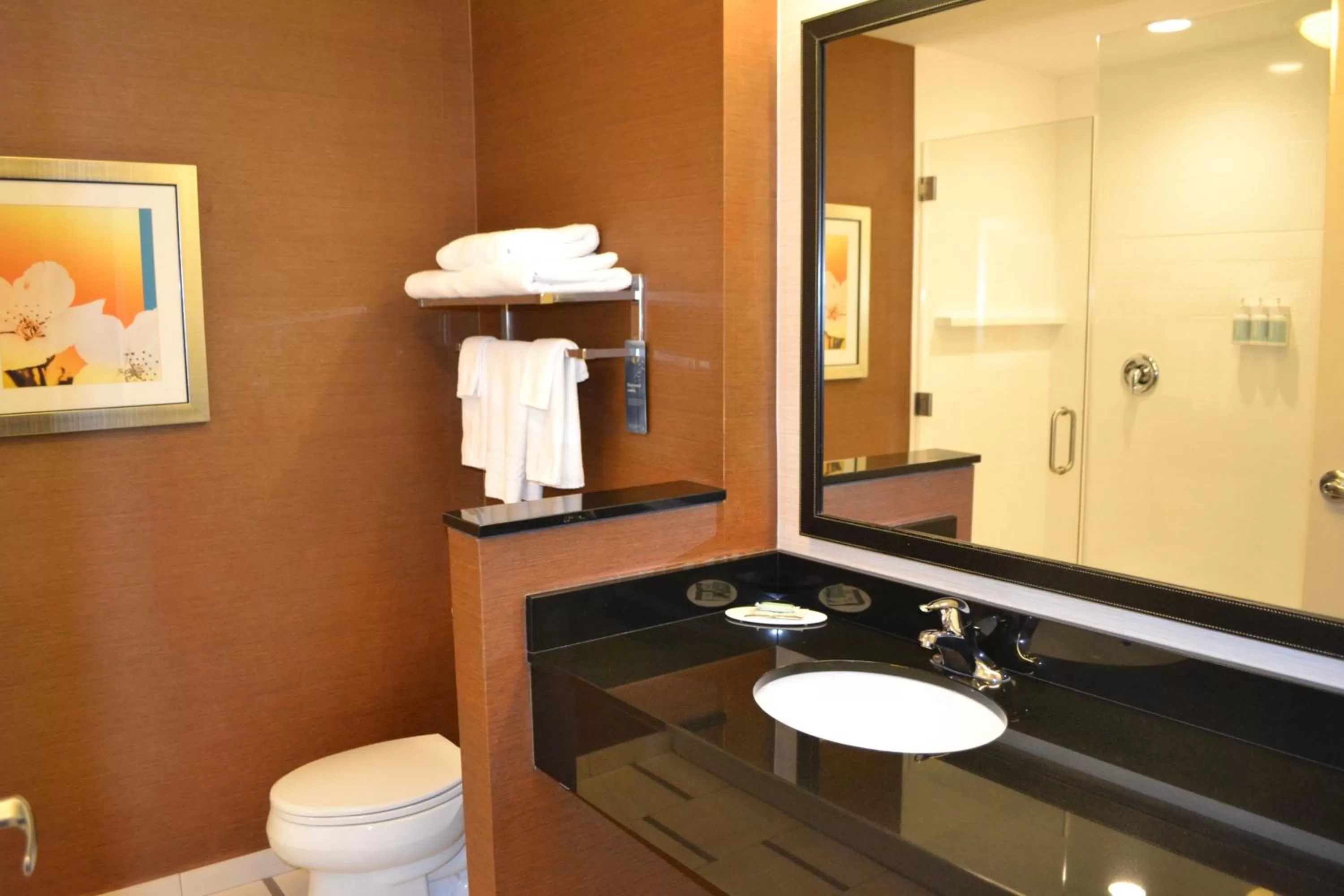 Bathroom in Fairfield Inn & Suites by Marriott Fort Walton Beach-West Destin
