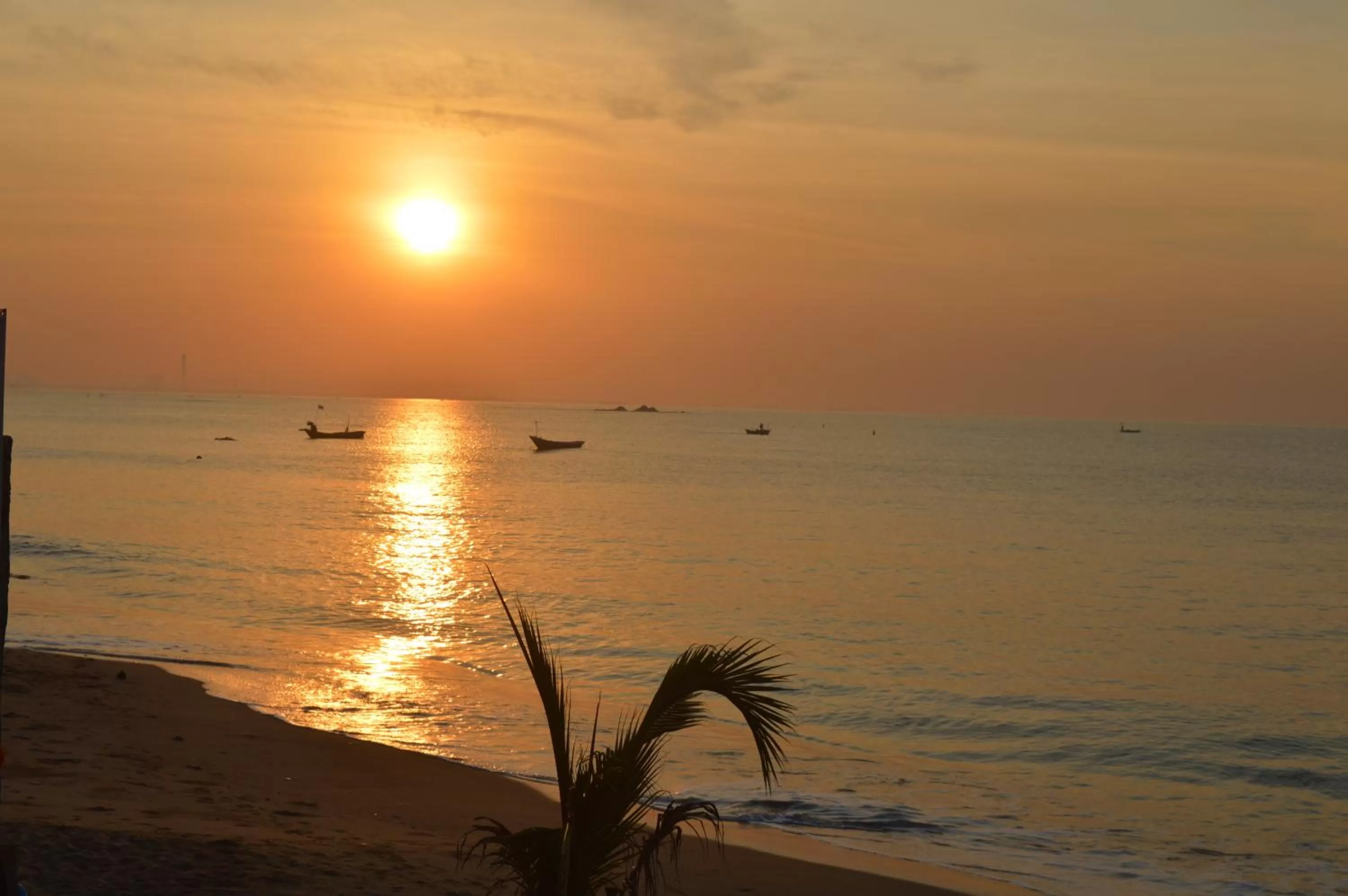 Natural landscape in The Lord Nelson Hotel