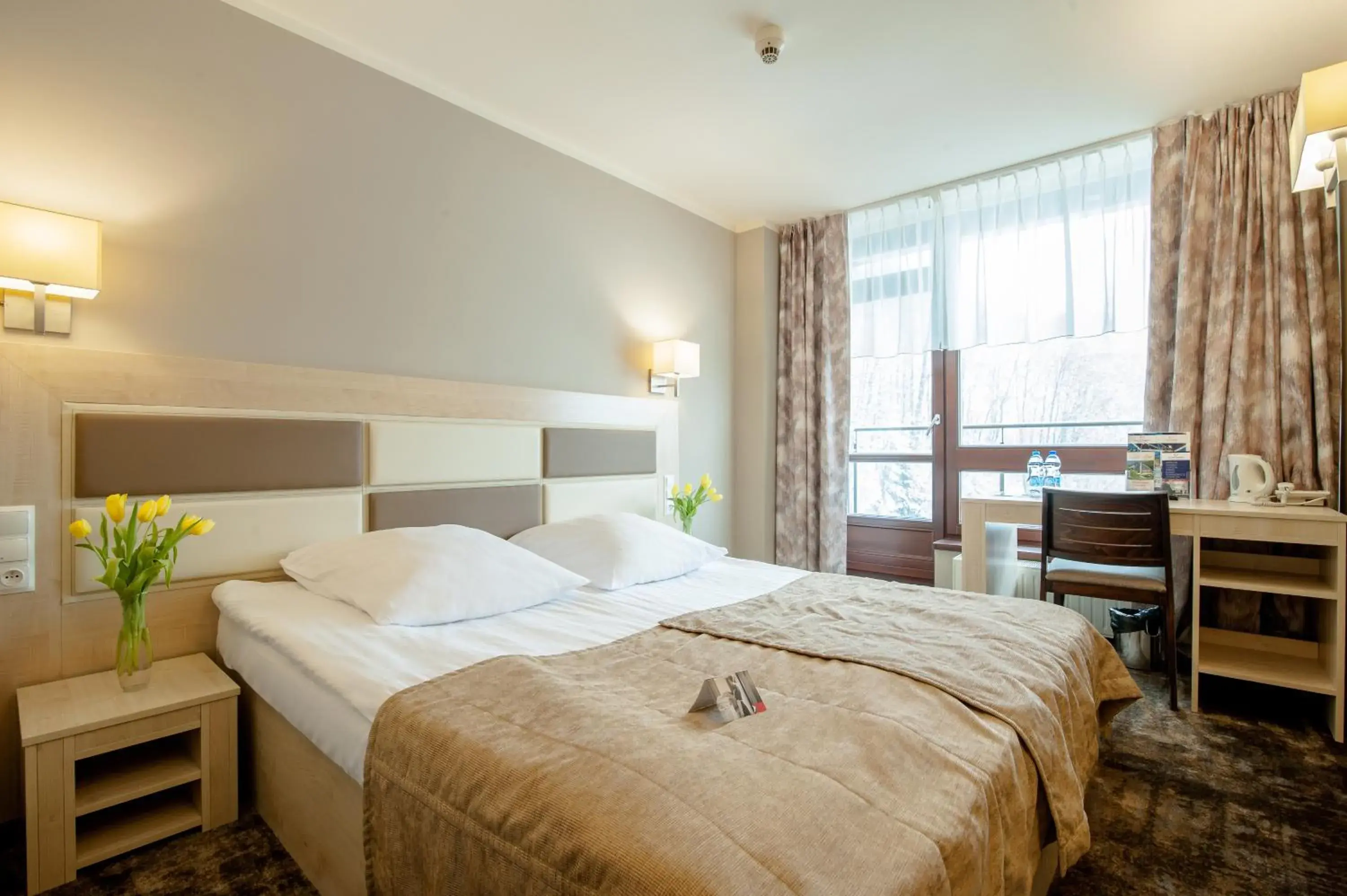 Standard Double or Twin Room in Hotel Diament Ustron