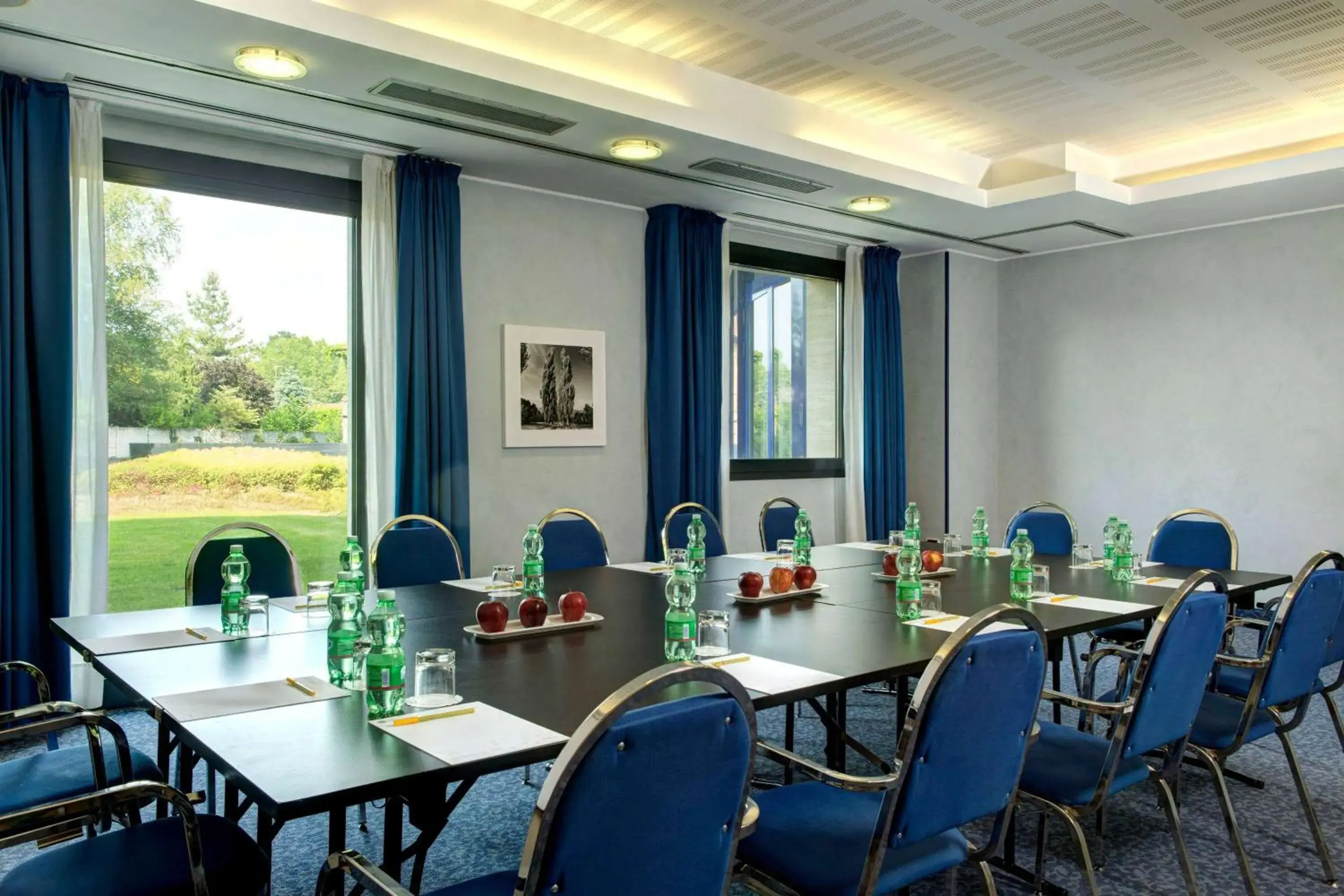 Meeting/conference room in Dolce by Wyndham Milan Malpensa