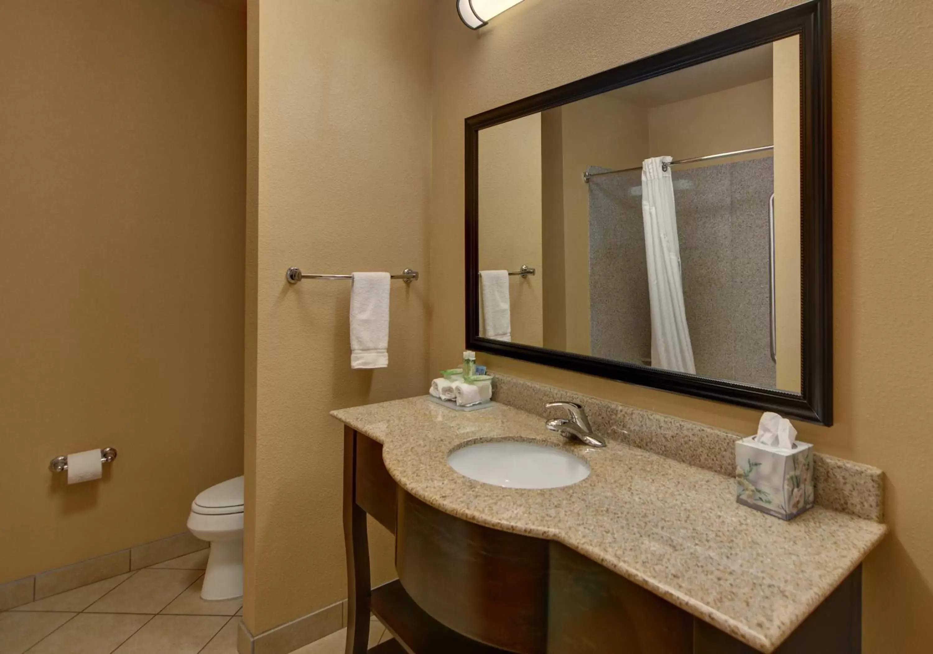 Bathroom in Holiday Inn Express Tyler South, an IHG Hotel