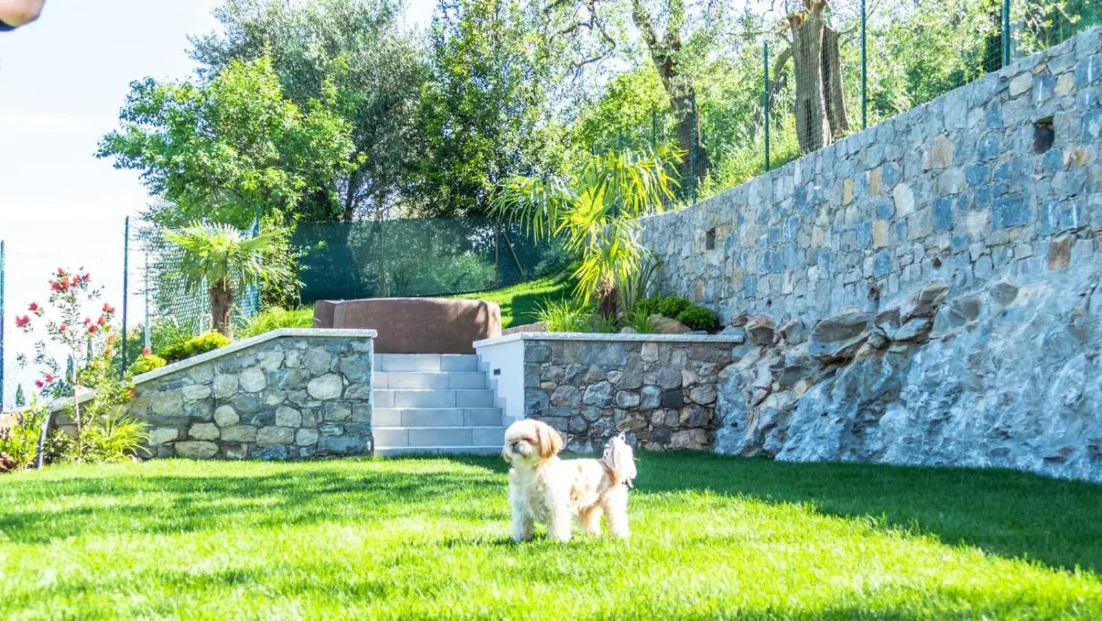 Garden, Pets in Hotel Casa Marinella