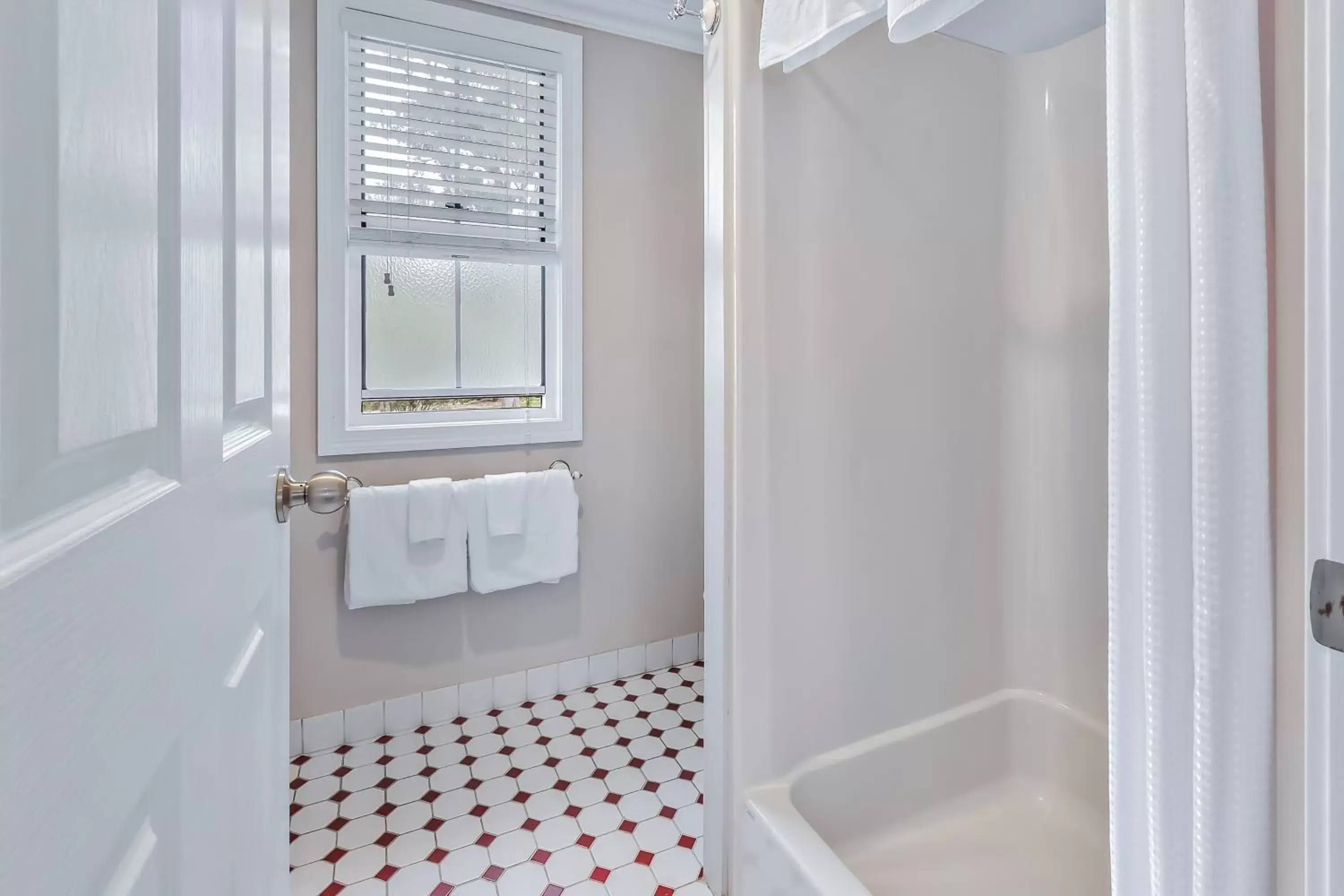 Shower, Bathroom in Diamondvale Estate Stanthorpe