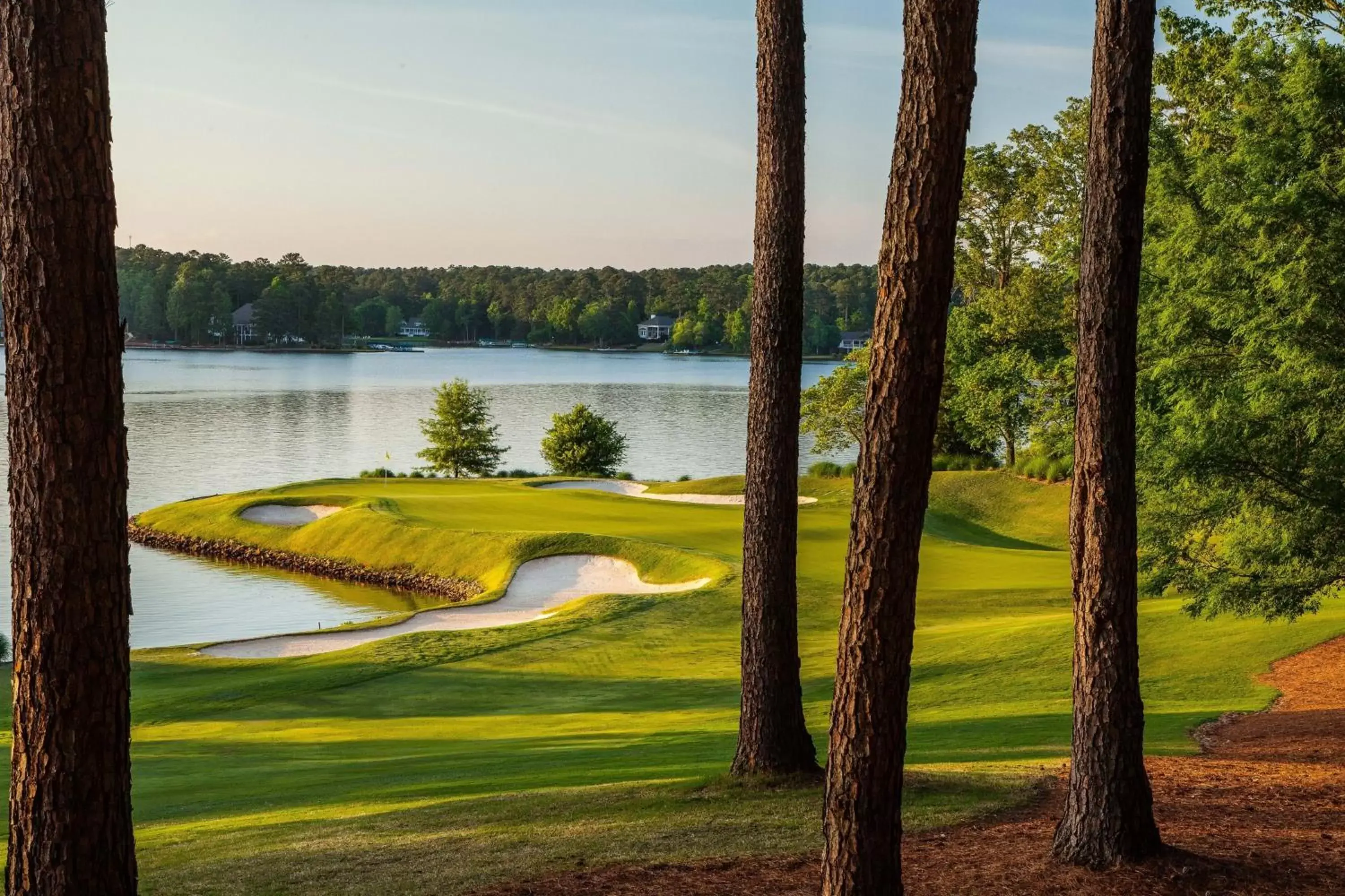 Golfcourse in The Ritz-Carlton Reynolds, Lake Oconee