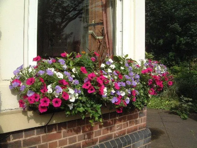 Facade/entrance in Ely House Hotel