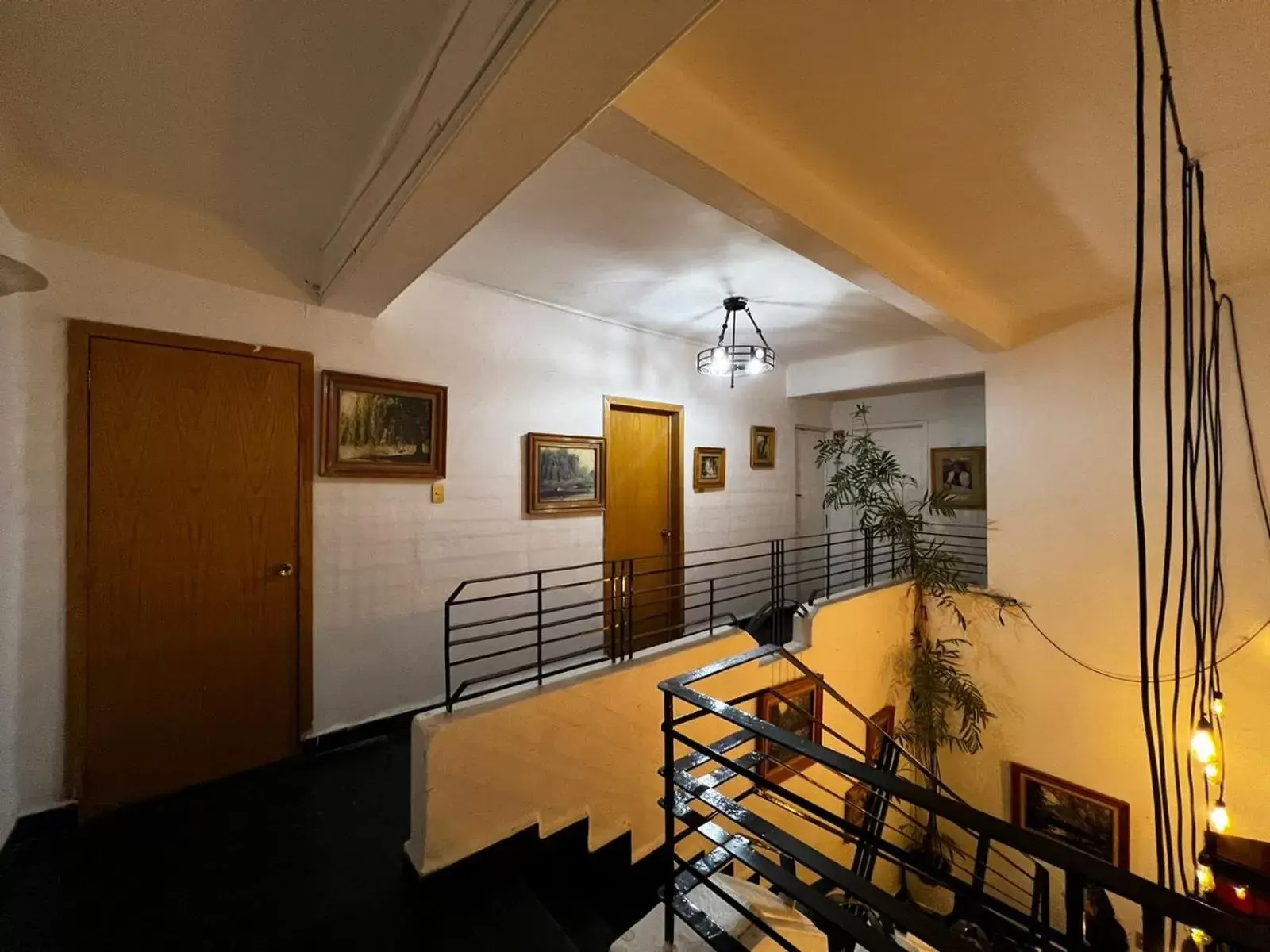 Area and facilities in Hostal Roma Condesa